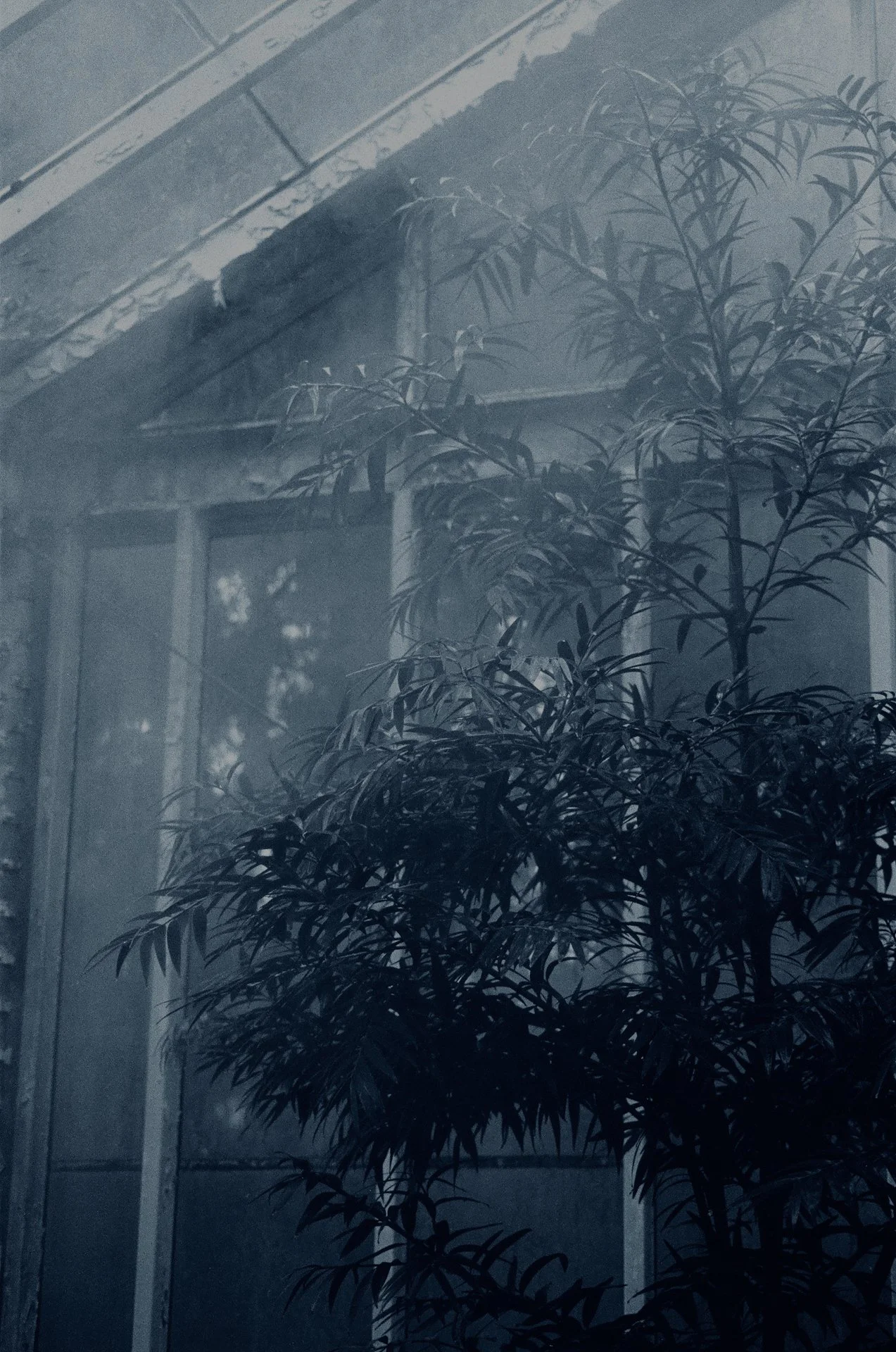 Blue Hour -October 22, 2024 - 16-2.jpg