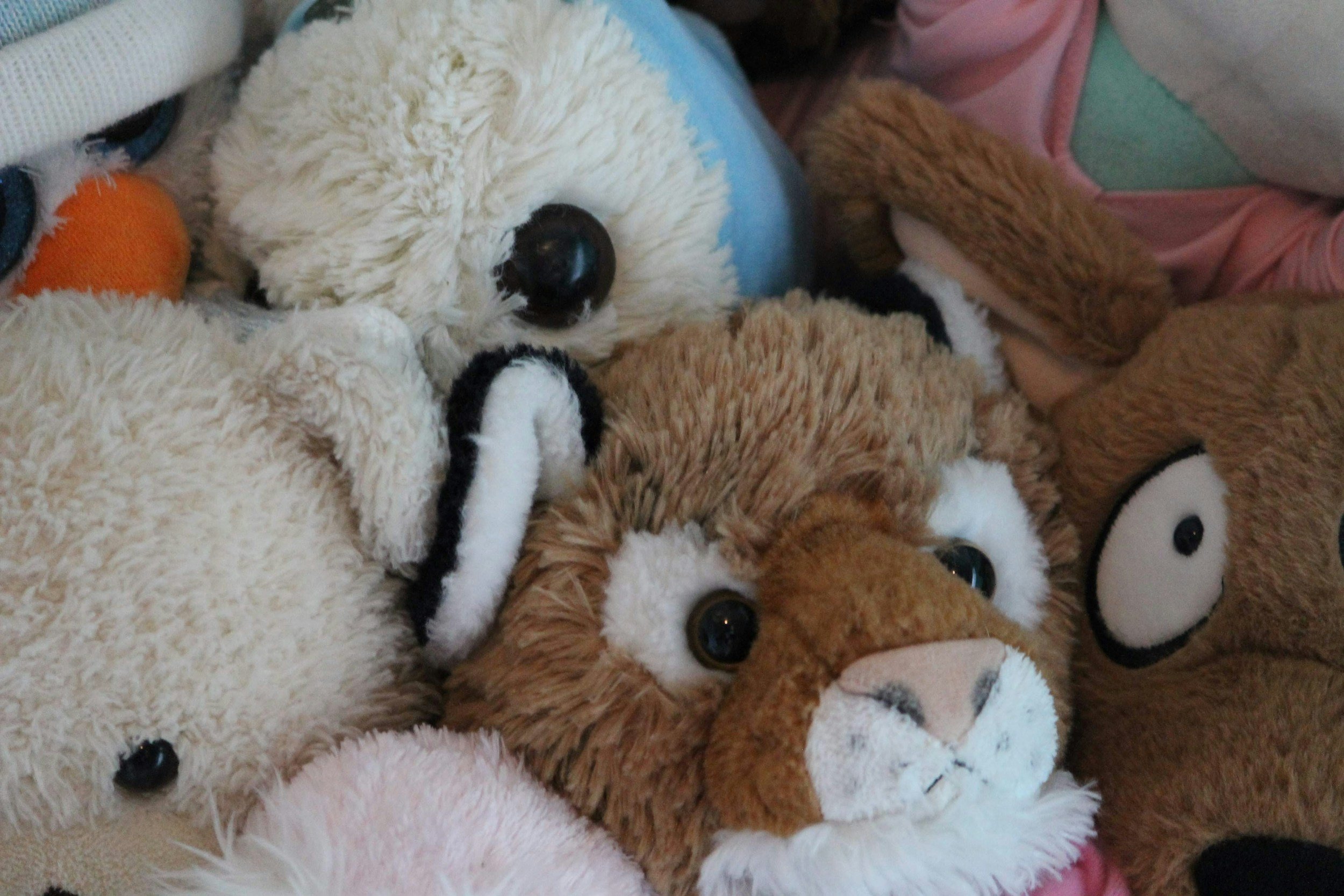 To the child who’s Sweet, Smart, and Sensitive: 