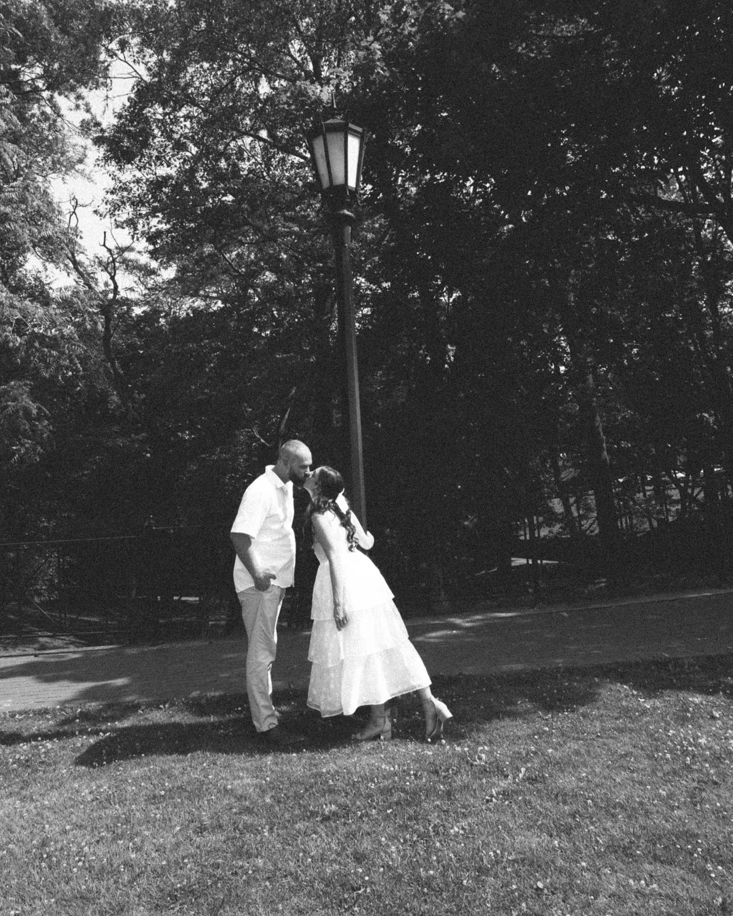 an afternoon in dappled sunlight 

35mm film + digital