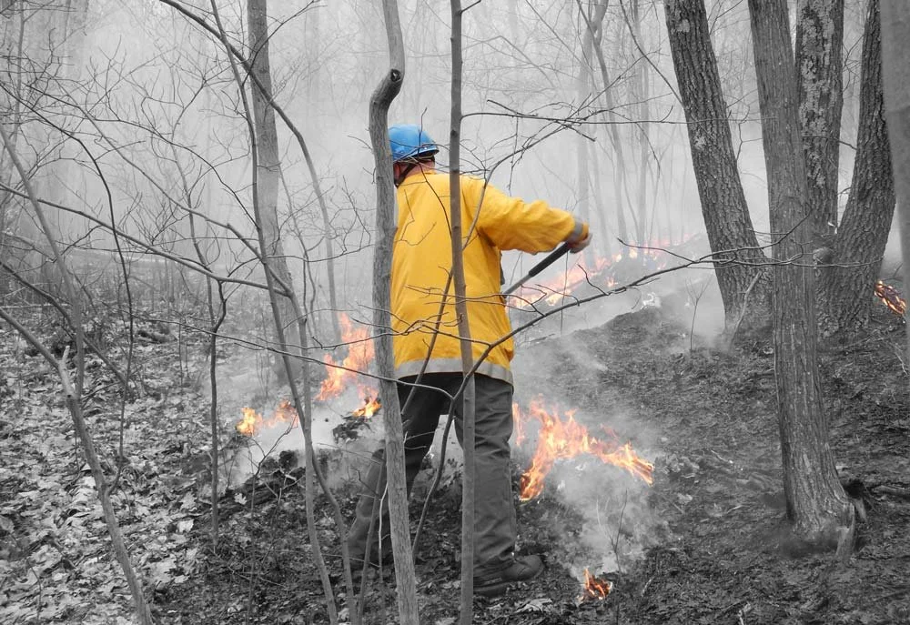 Firefighter fighting a brush fire