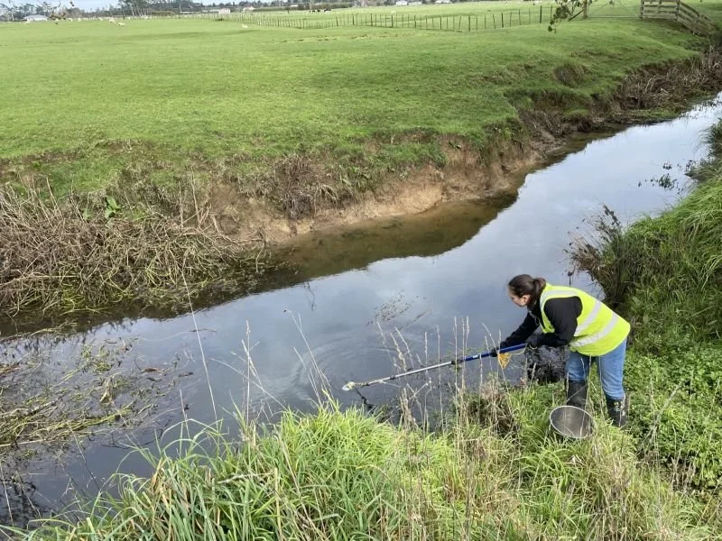 A person in a yellow safety vest and rubber boots is collecting water samples from a small creek using a long pole with a container at the end. The creek is surrounded by grassy banks, and a large green field with fences is visible in the background.
