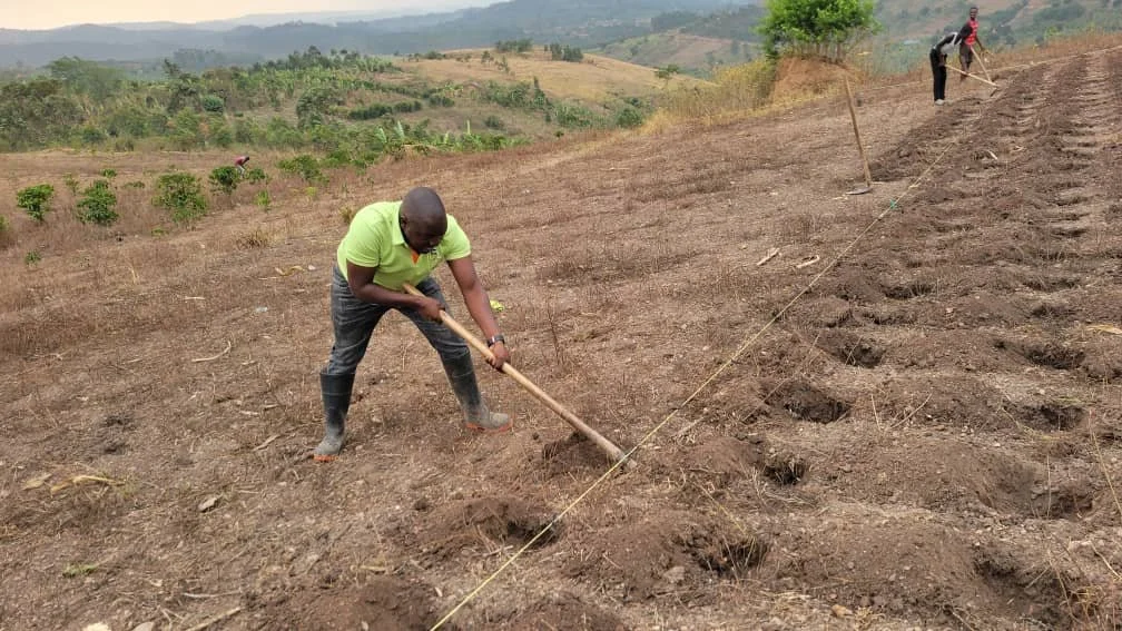 Farming for maize for the children.jpg