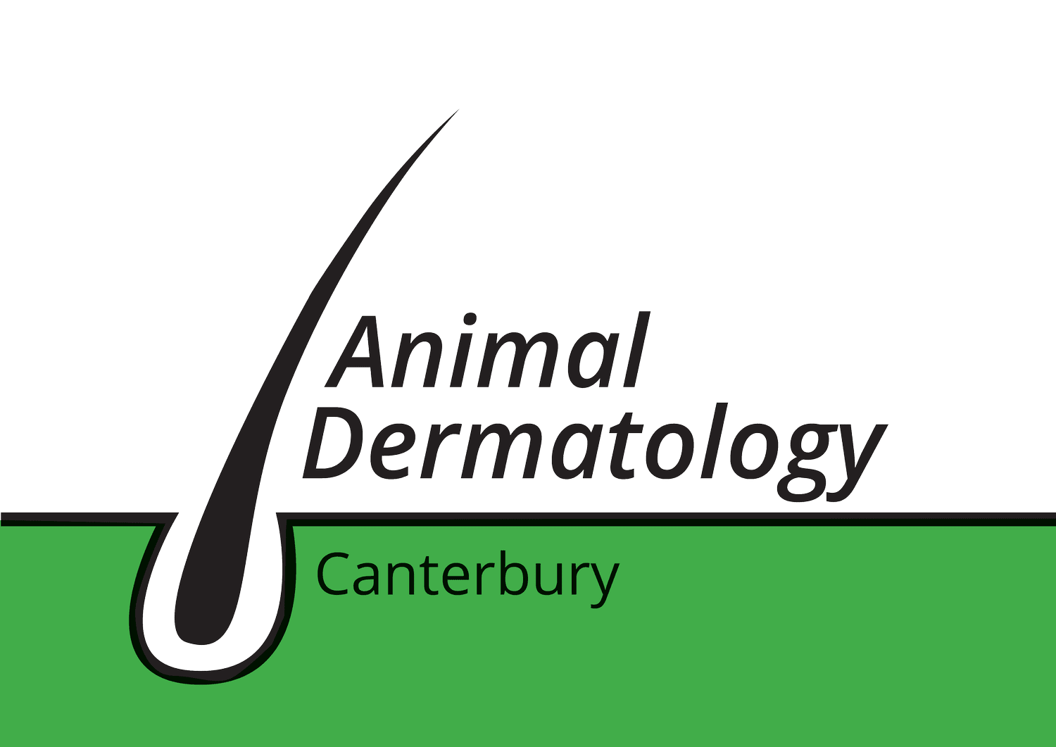Animal Dermatology Canterbury