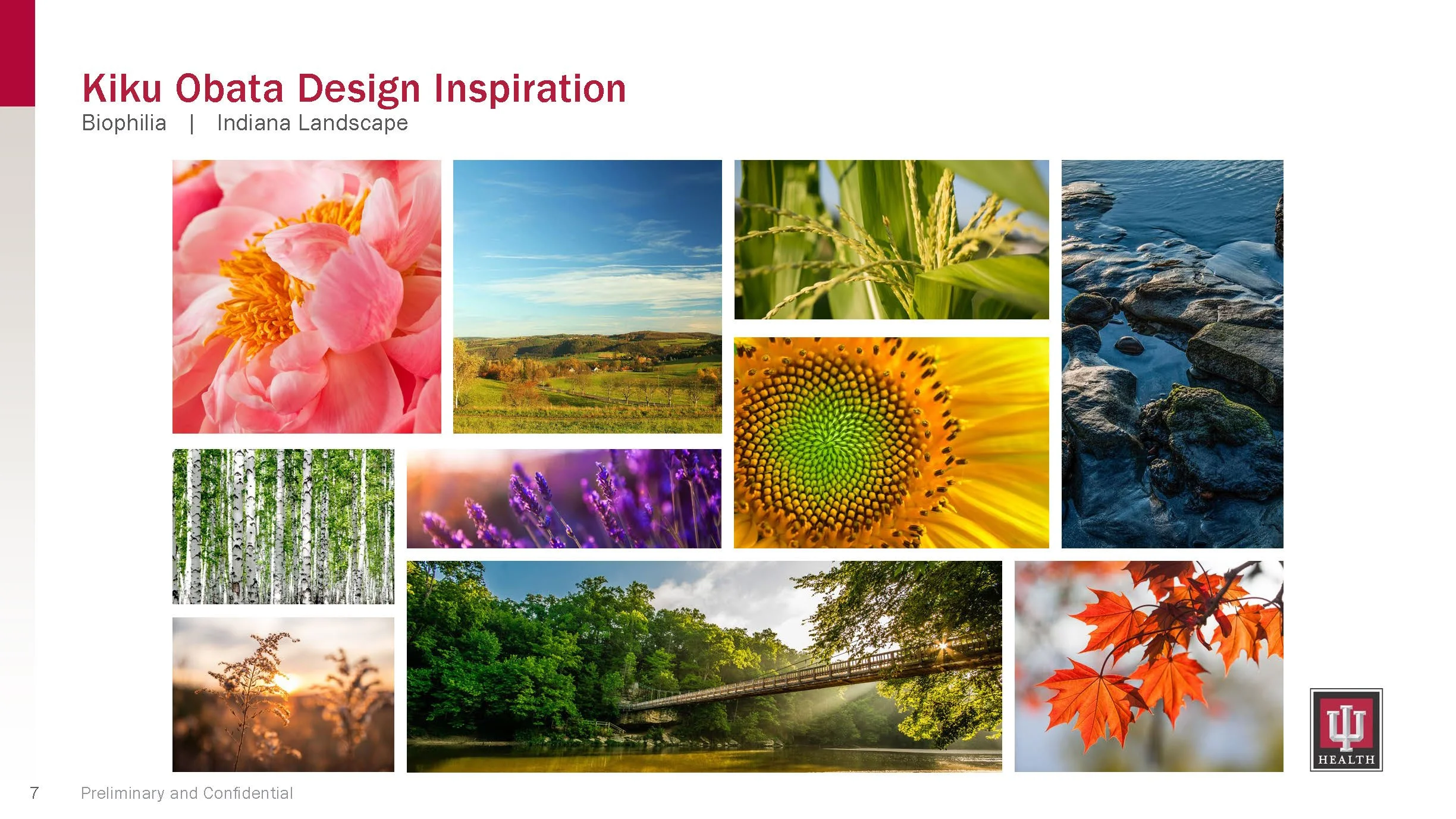 2024-08-28_IUH CV_Interiors_Page_07.jpg