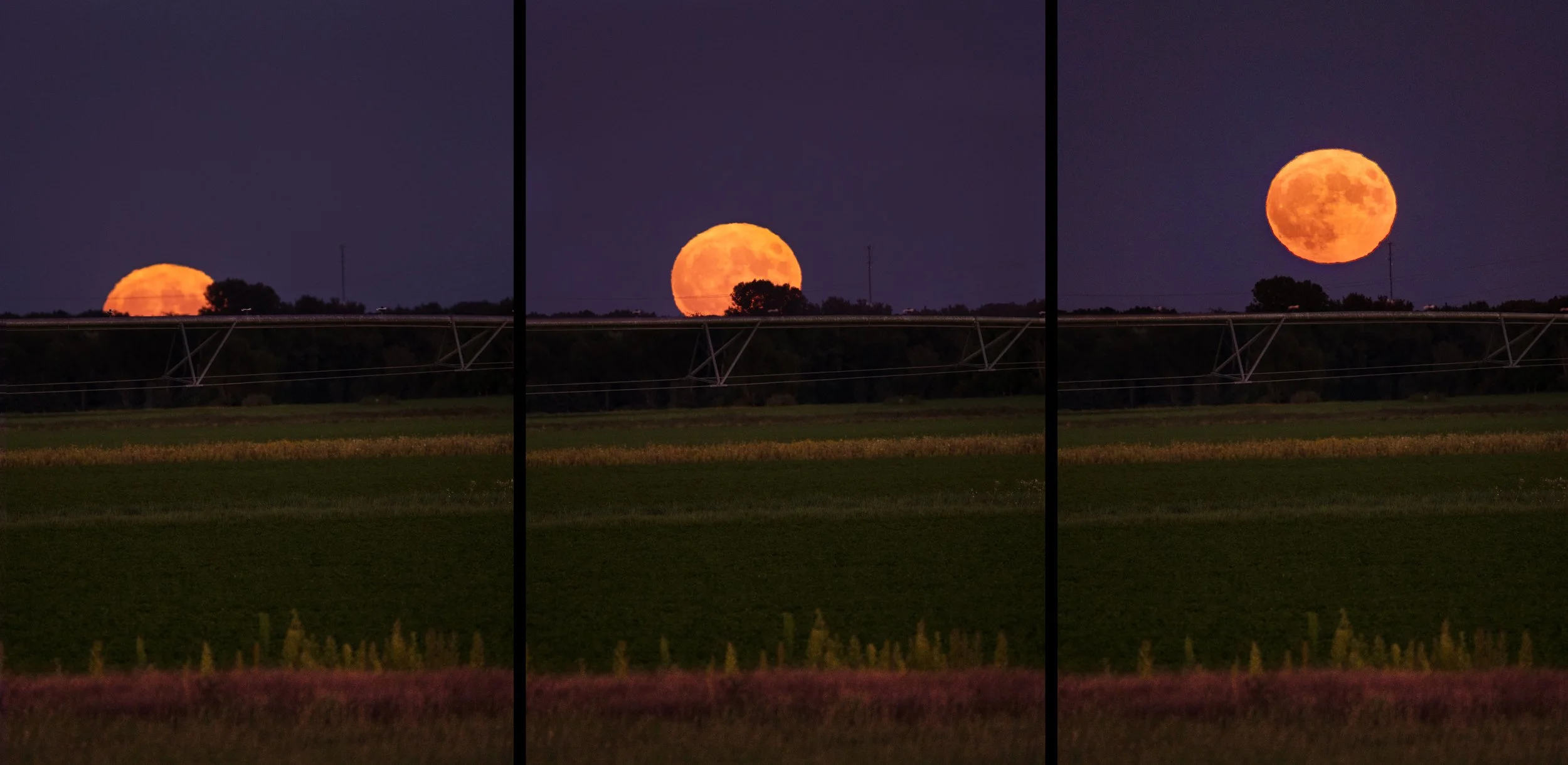 MoonRise3Set.jpg