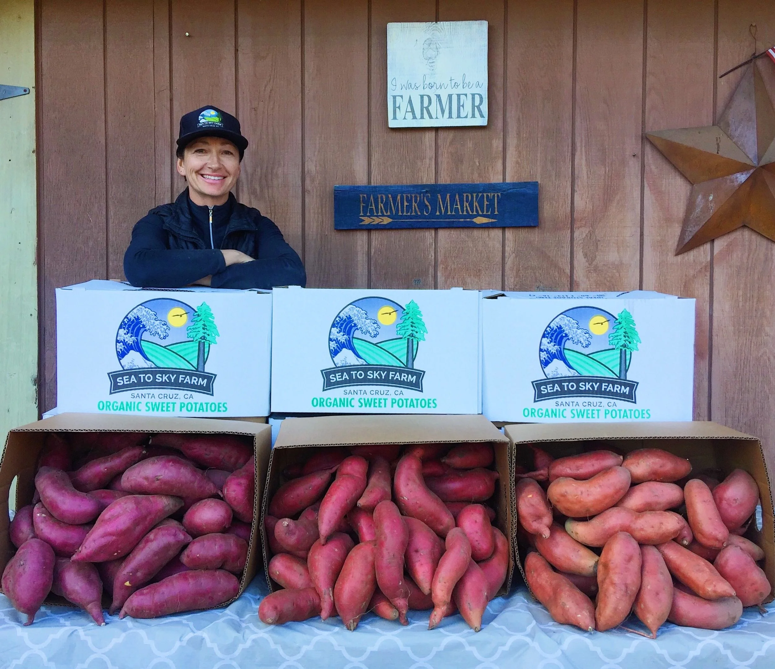 People, Planet and Prices: Sourcing Choices at Just Fare