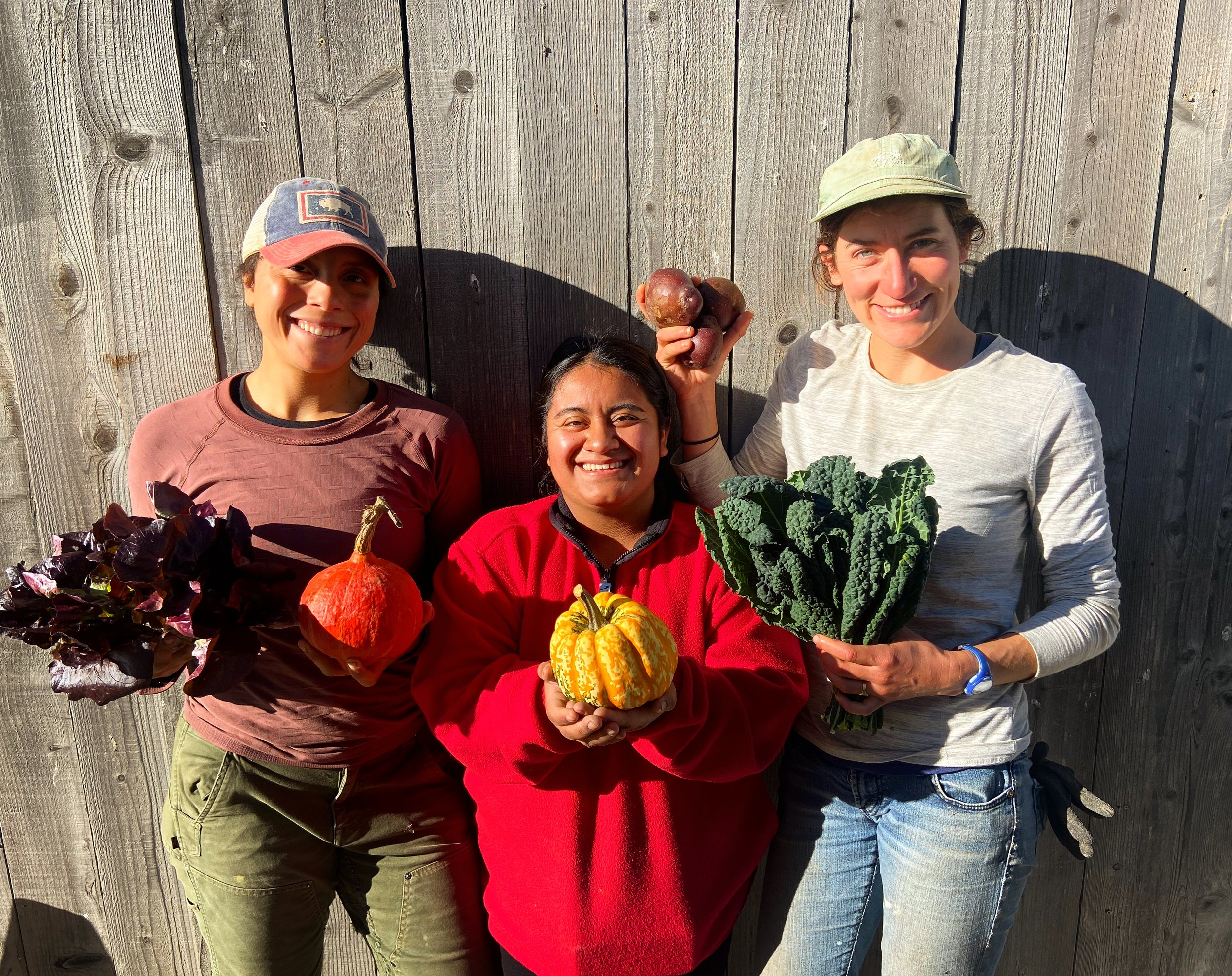 Just Fare’s Inspired Lunch Program: Delight Your Employees with These Catered Lunch Ideas