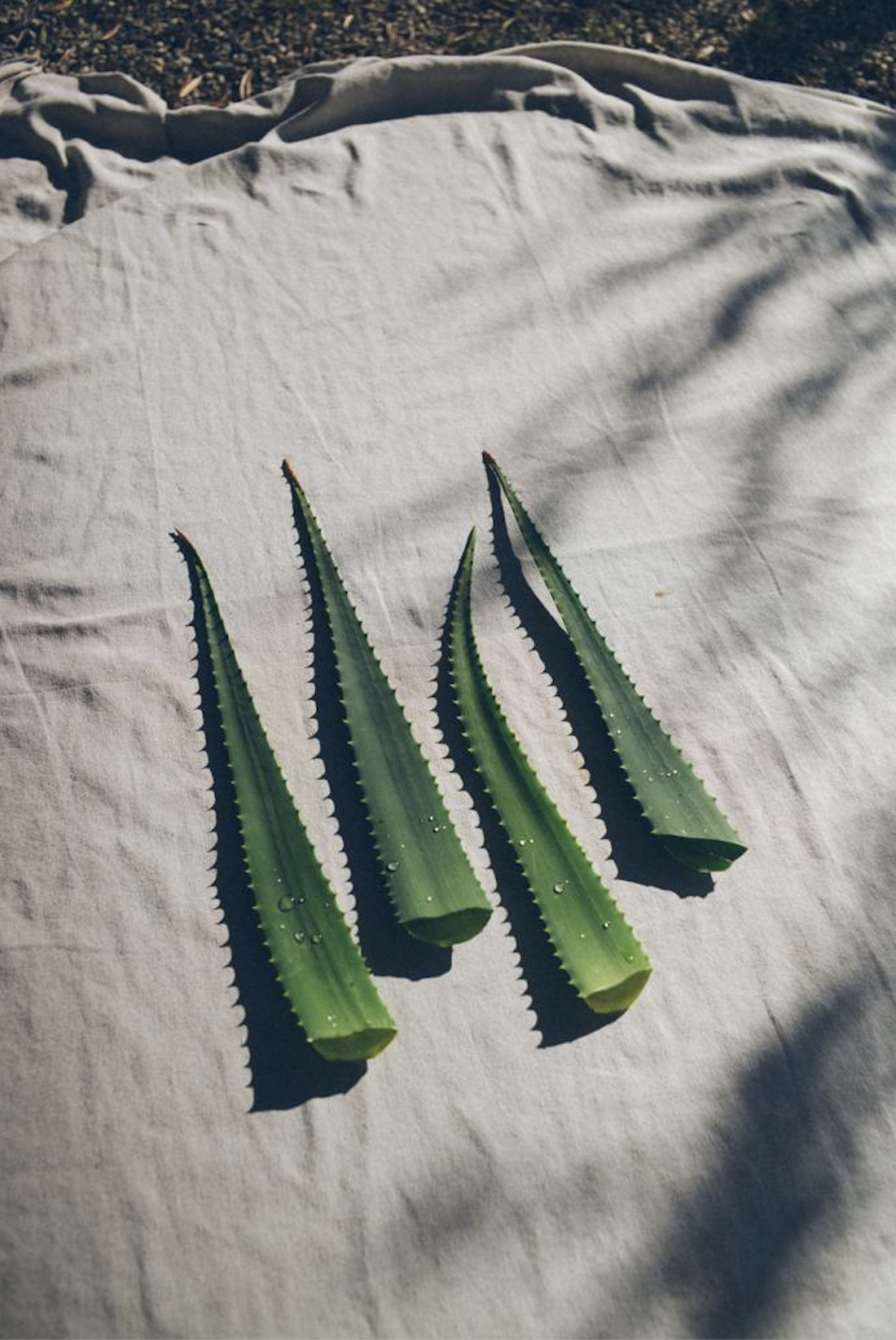 Screenshot 2026-01-23 at 17.29.54.png