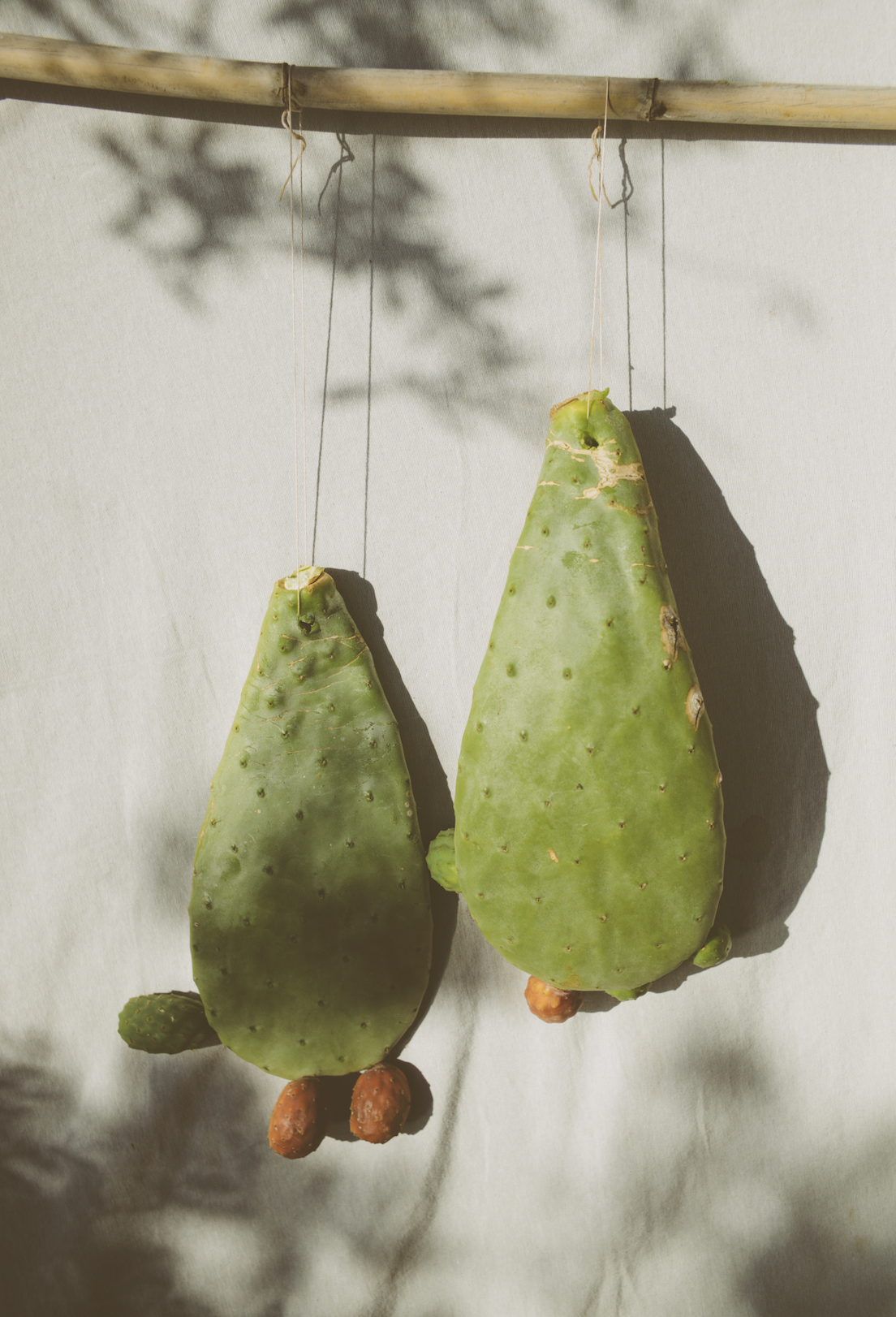 Screenshot 2026-01-23 at 17.29.02.png