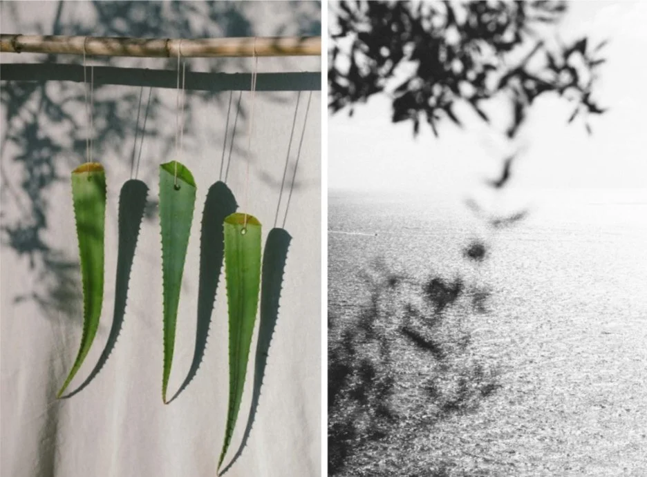 Natural skincare, aloise, aloise botanicals, aloïse, clean beauty, Super Glow Face Oil, glow, holistic beauty