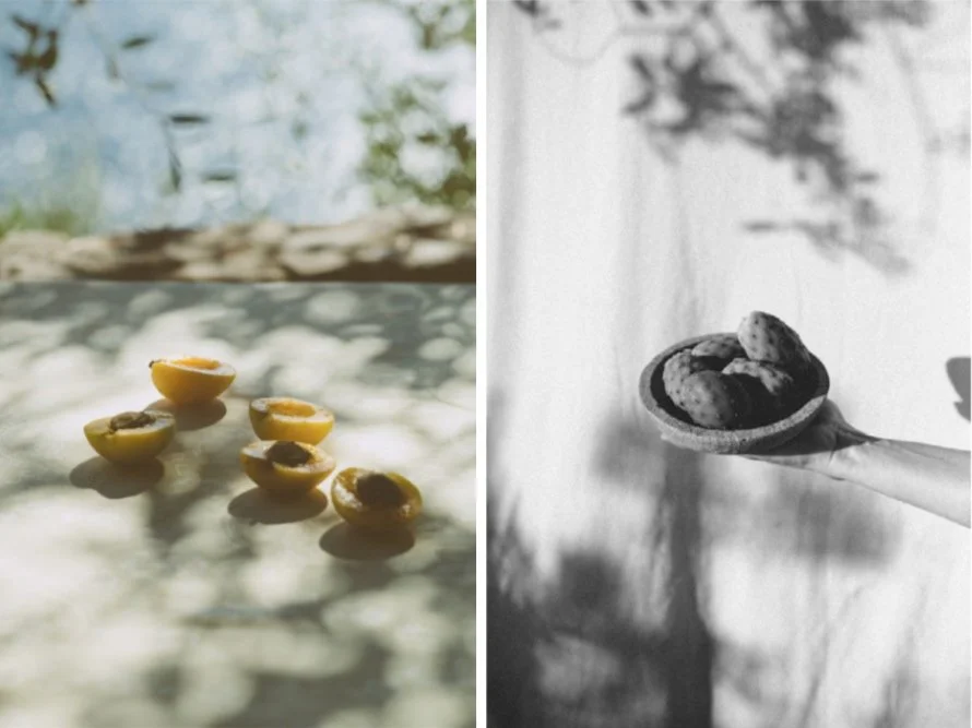 aloise botanicals, aloise, natural skincare, holistic beauty, facial oil