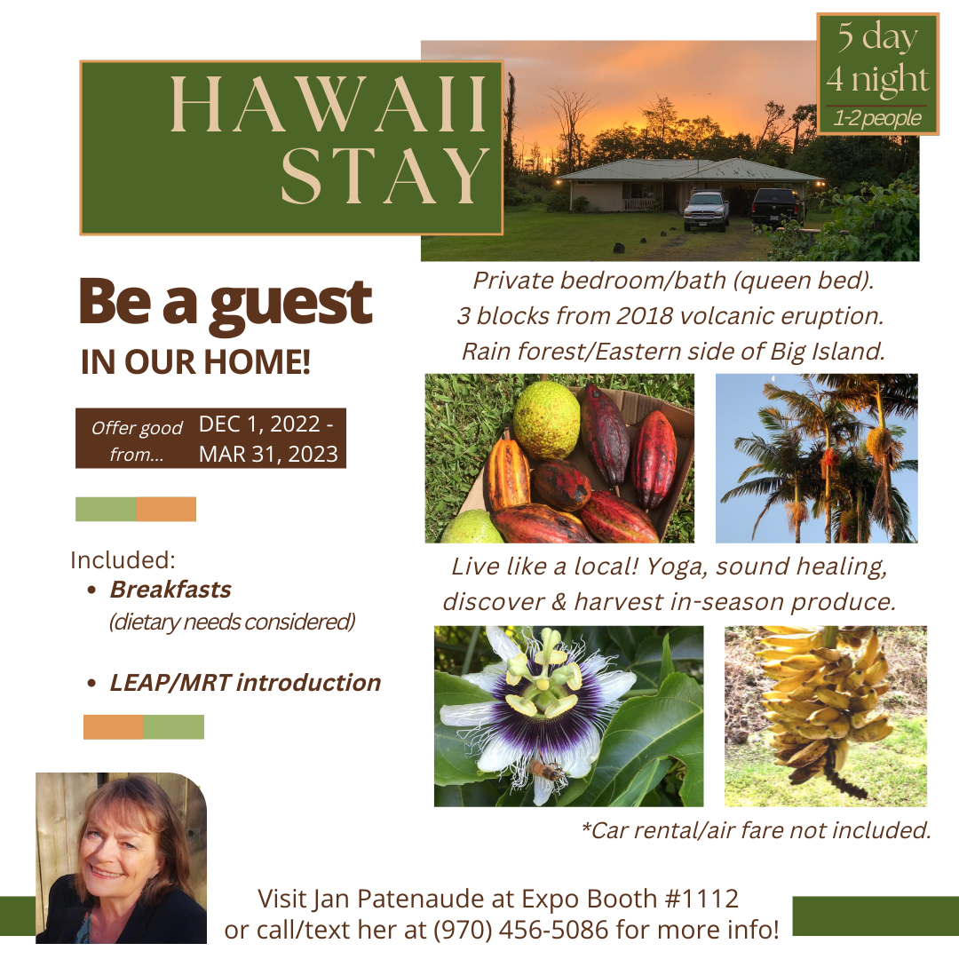 virtual assistant design