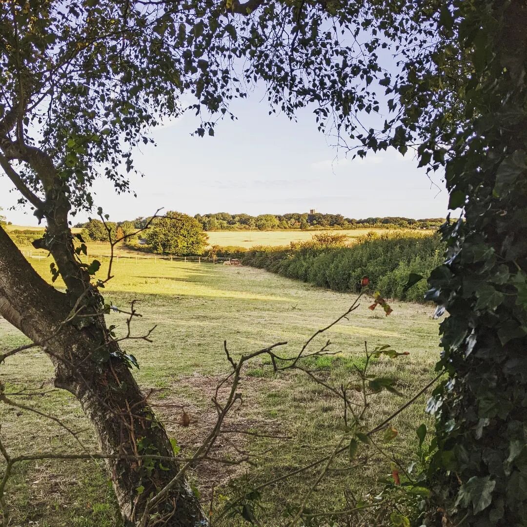 This view from our family house in north Norfolk (once my grandparents' farmhouse) is one of my favourites and features in The Butterfly Storm (it's the view from Salt Cottage, Leila's fictional house in the fictional village of Marshton for anyone w