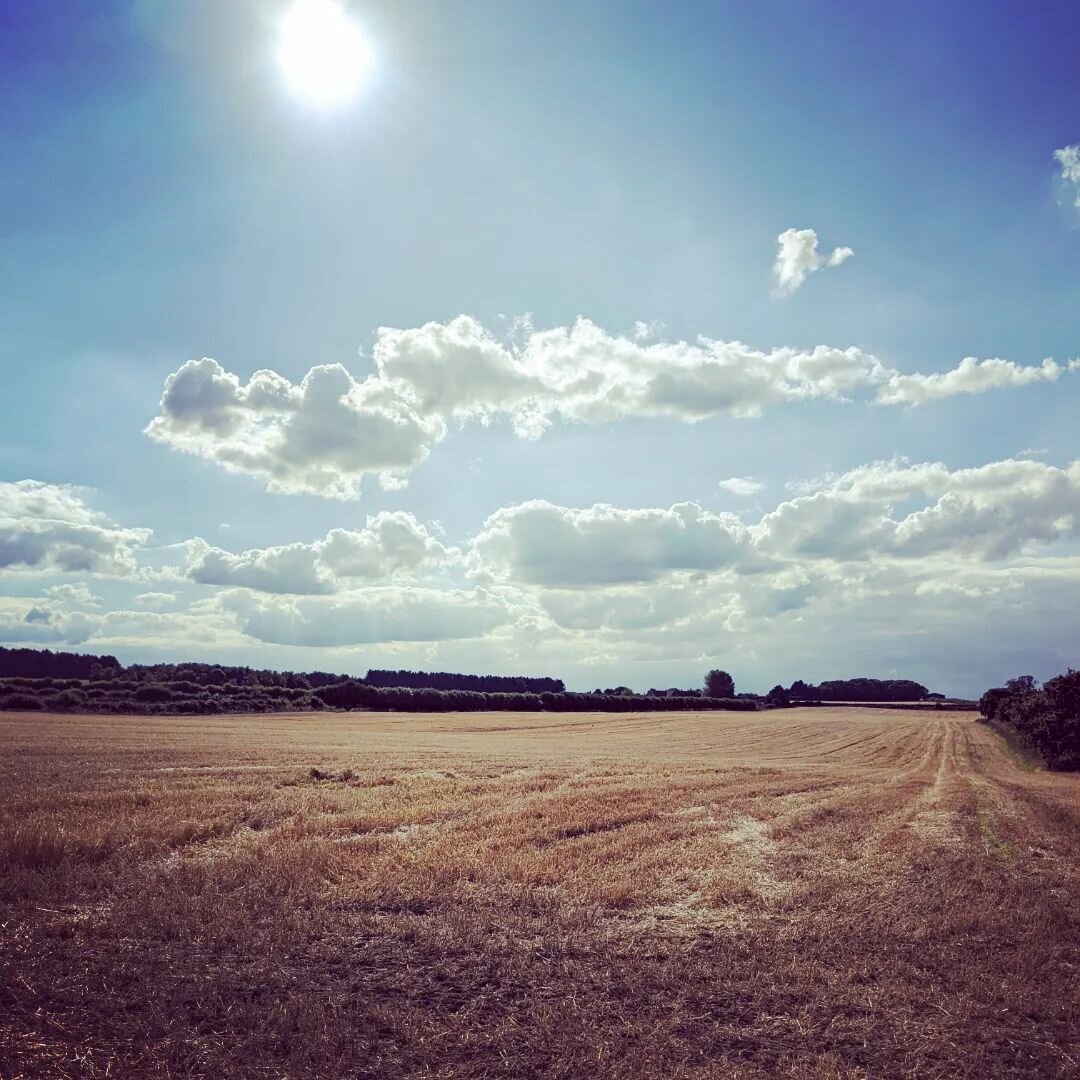 We're back home and it's back to work for me this weekend after a lovely but emotional week in Norfolk. Hot sunny days were followed by thunder, torrential rain and powercuts, while highlights included my eight-year-old riding in the combine harveste