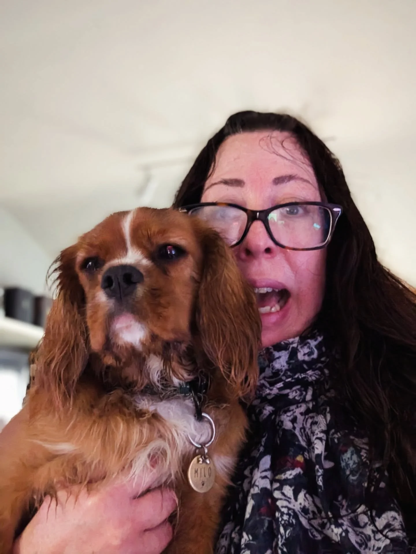 Today's walk to forest school wasn't as pleasant as yesterday's! 🌧️ 
My next book is set on the Greek island of Milos though, so at least it's a lovely place to virtually escape to while I do some research (and dry off). ✨
#autumnwalks #soggydog #