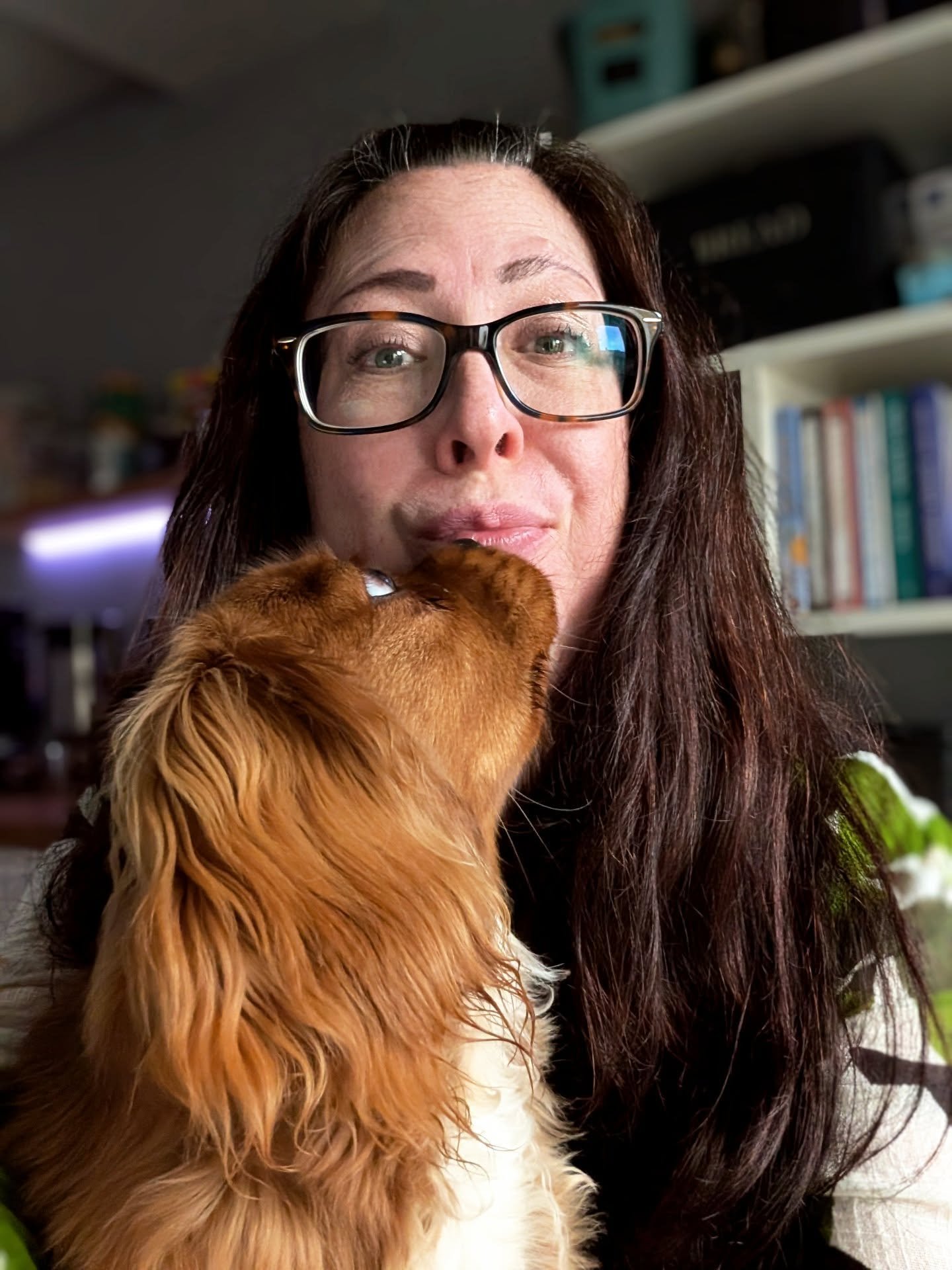 I had planned to take a break from starting to write a new book until the new year, and take this time to catch up with a million other author related things I need to do, as well as to plan and plot, but the ideas started flowing to the point I've n