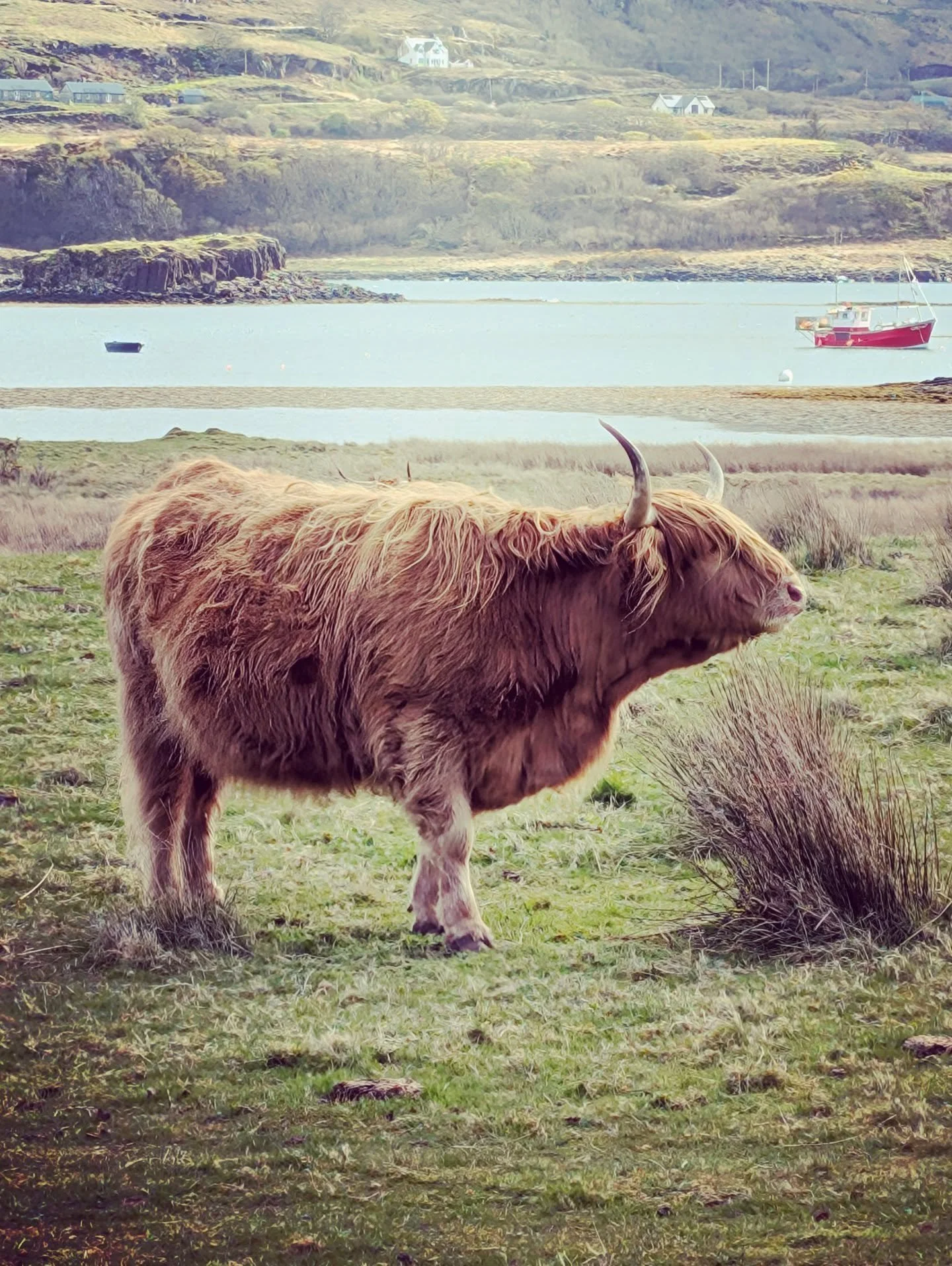 I'm wishing I was back on the Isle of Mull today, when the weather in April was unseasonably dry. It was such a beautiful place that provided heaps of inspiration for One Scottish Summer which is out in February and available to pre-order now. 

The 