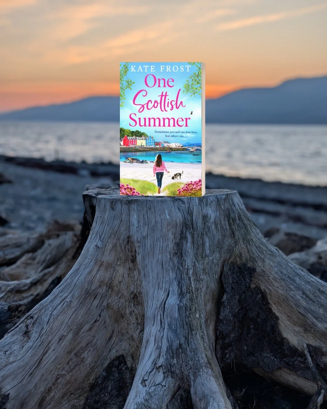 Logan grabbed four bottles of beer from the fridge and they made their way through the garden and down the path to the shore of Loch Na Keal. There was a weathered tree stump on the shingle beach, its roots like worn fingers of driftwood with seaweed