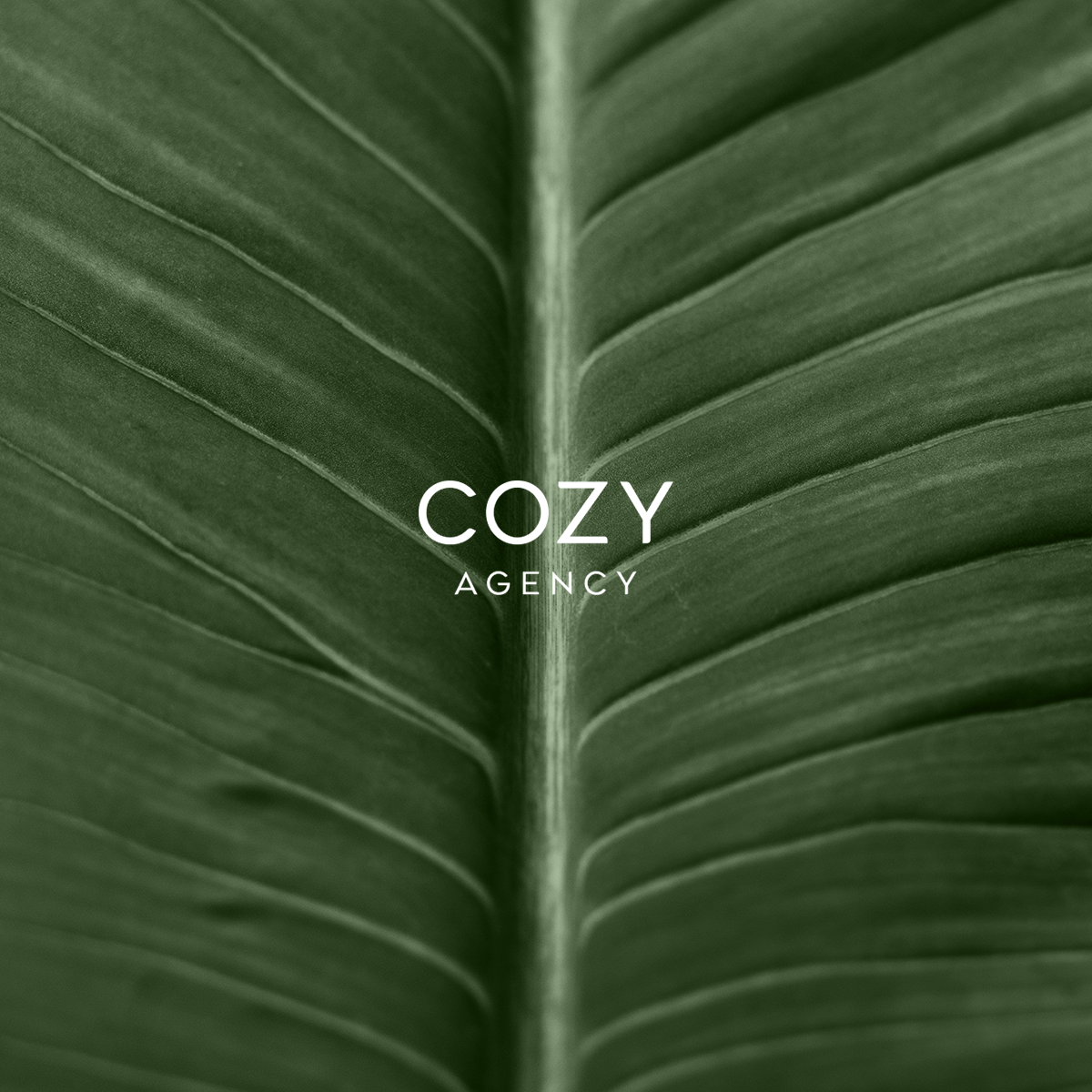 cozyagencytexture-home-img.png