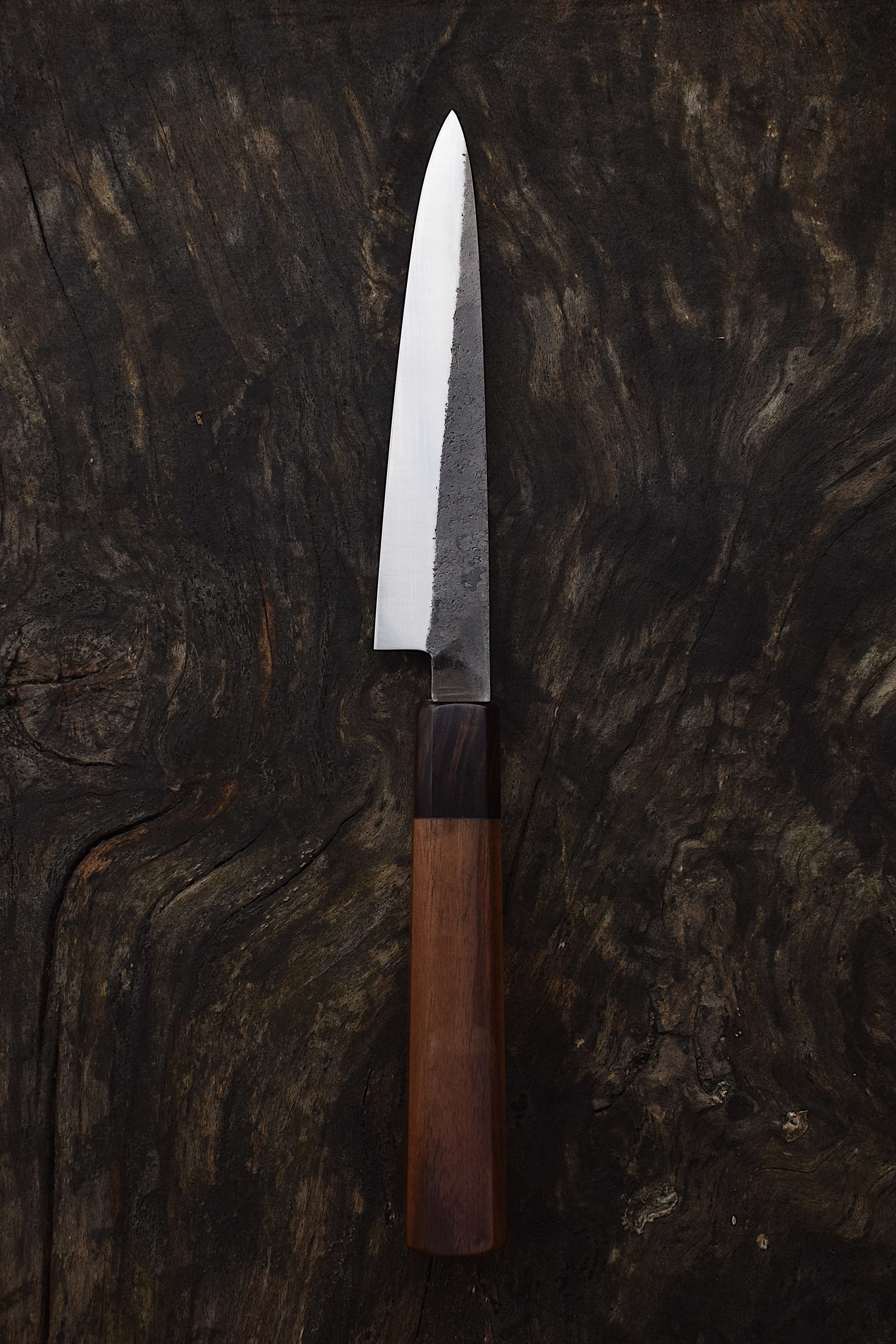 6.6 Leaf petty (2).JPG