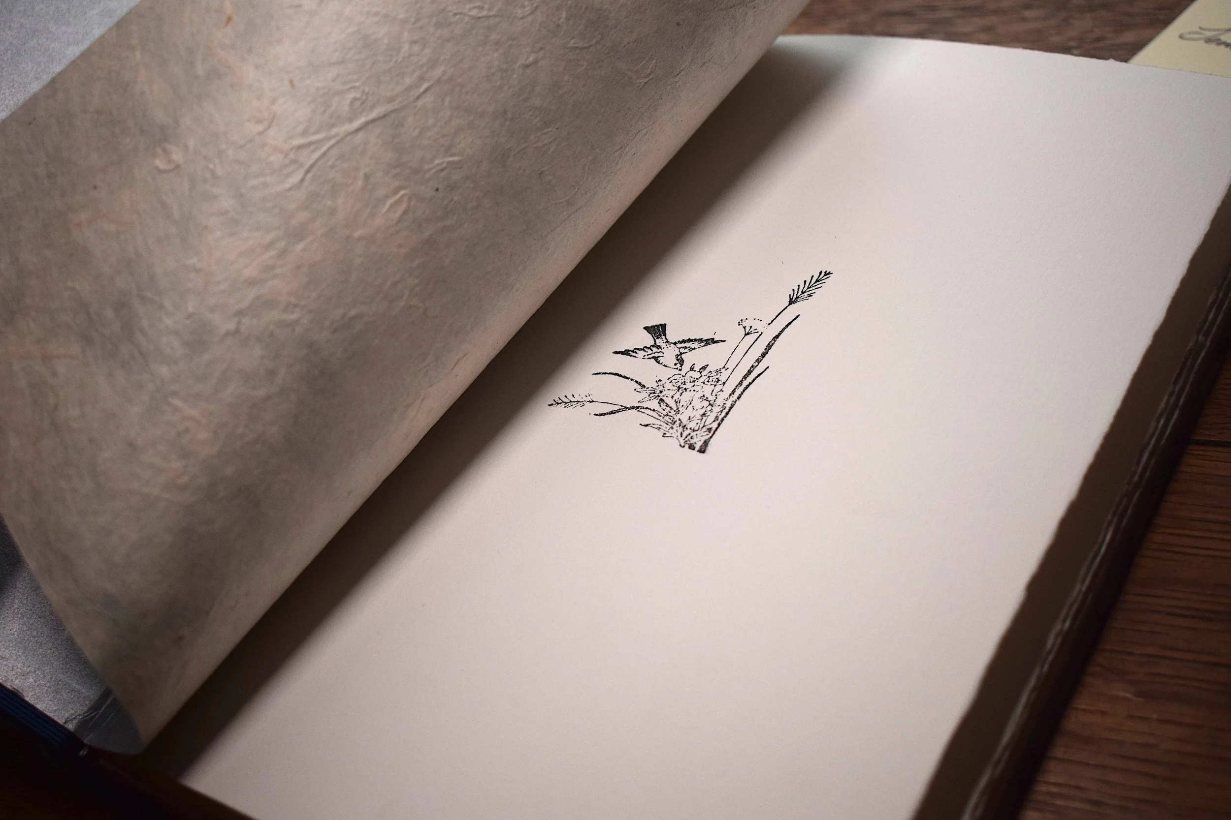 A4 Jemma Lewis grey stormont (6).JPG