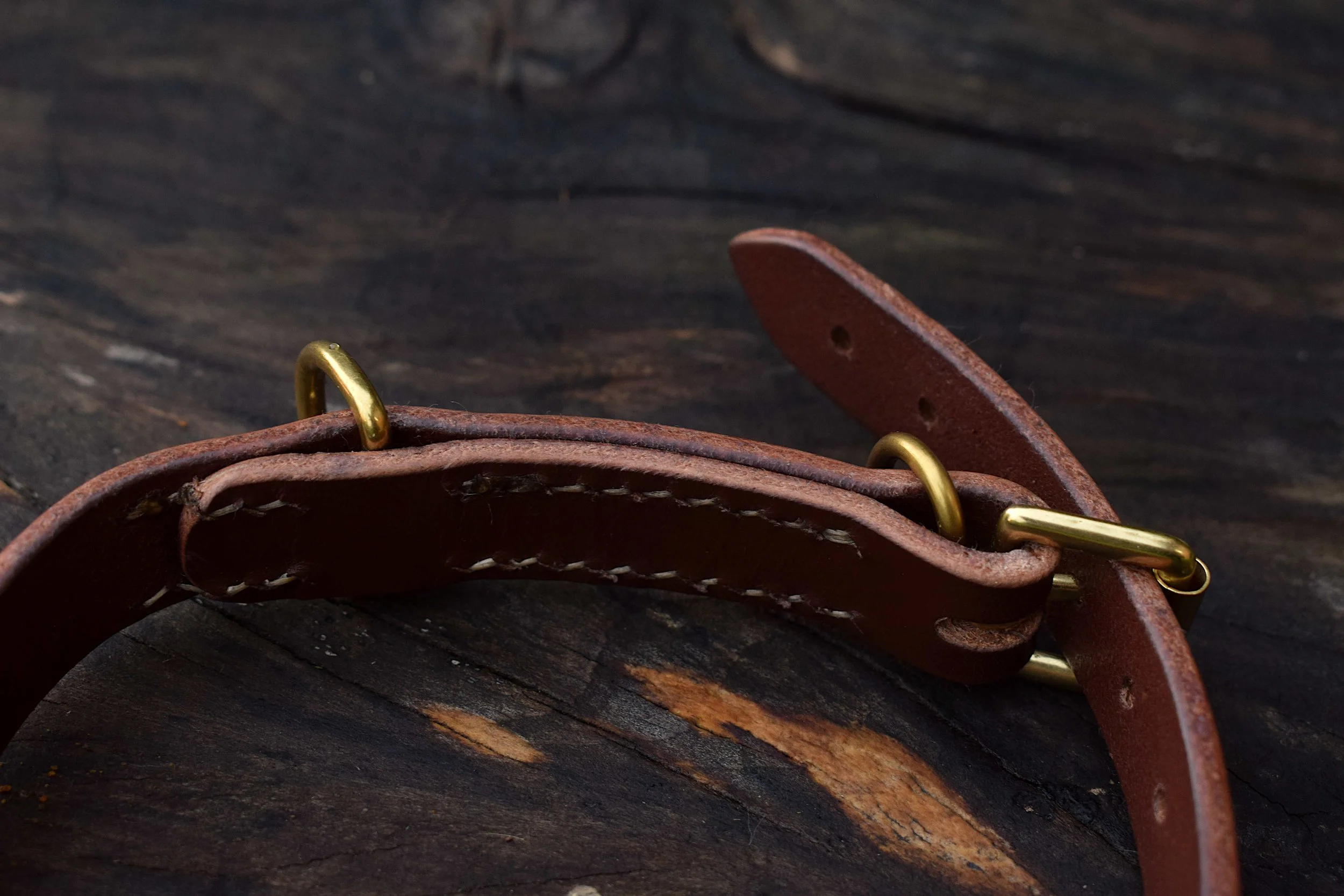 DOGCOLLAR19 (4).JPG