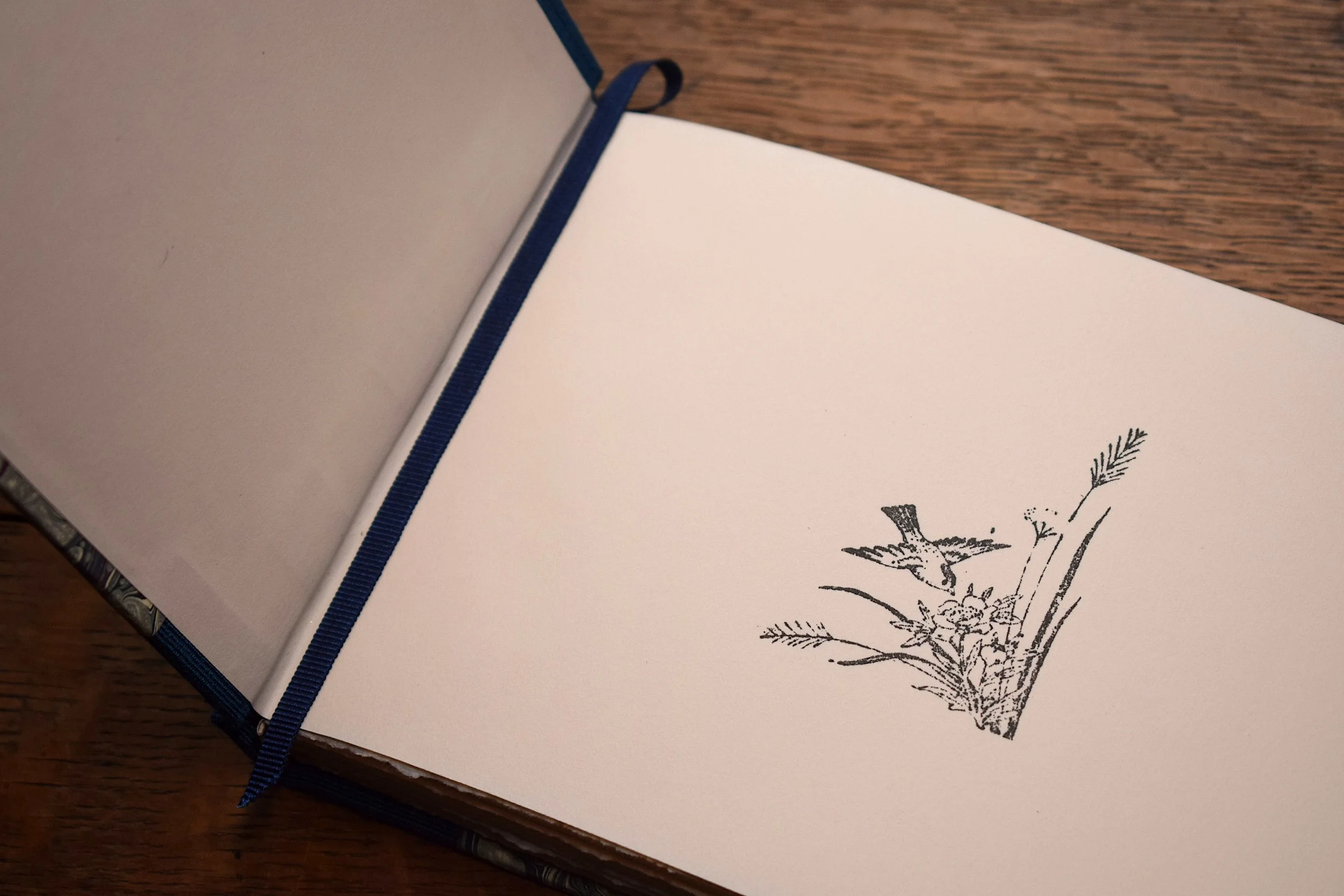 A5 Jemma lewis grey stormont (2).JPG