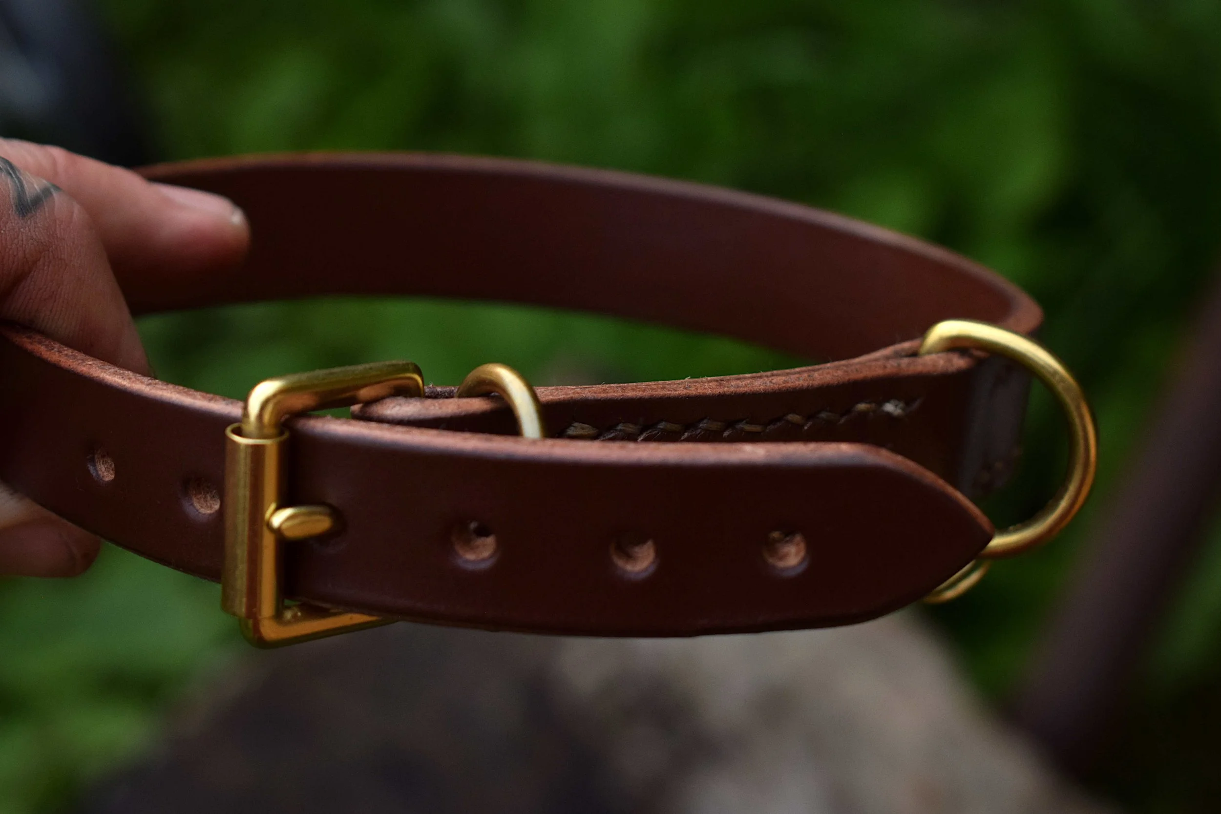 DOGCOLLAR19 (1).JPG