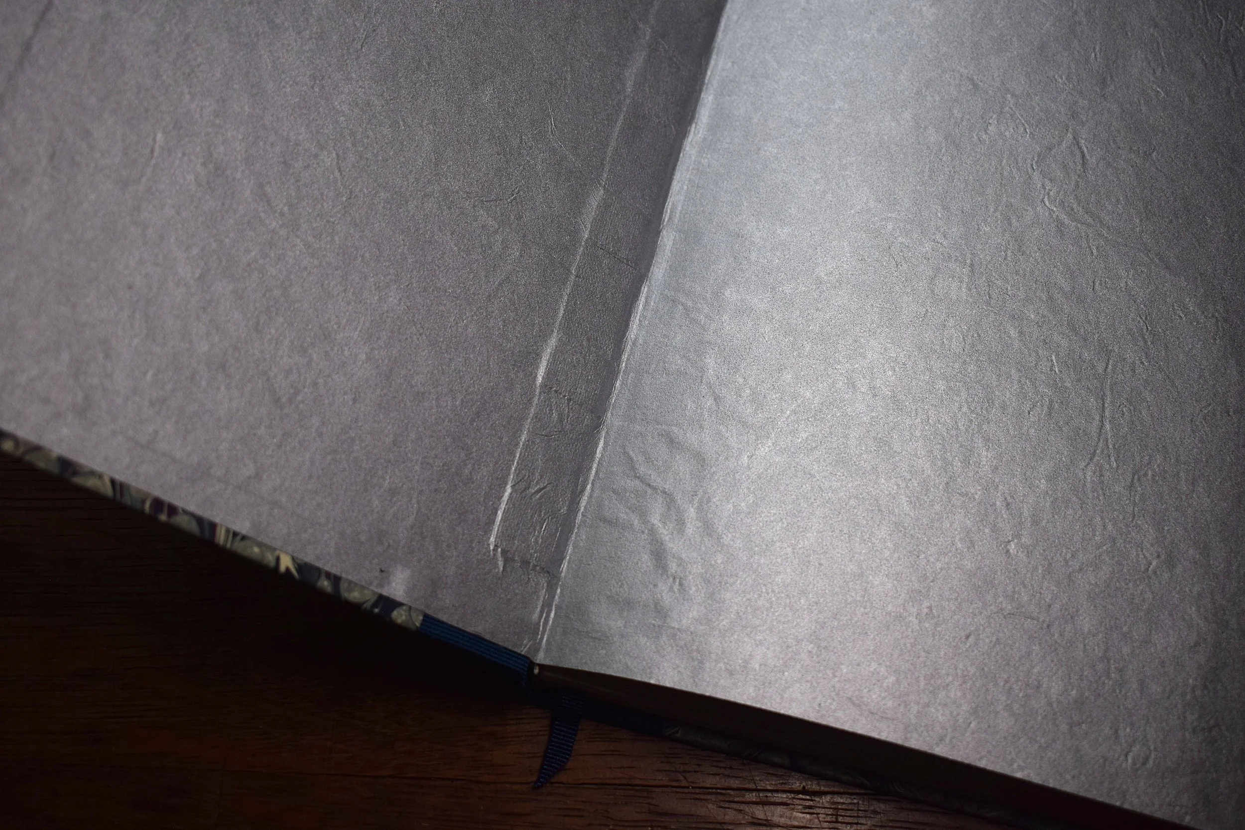 A4 Jemma Lewis grey stormont (5).JPG