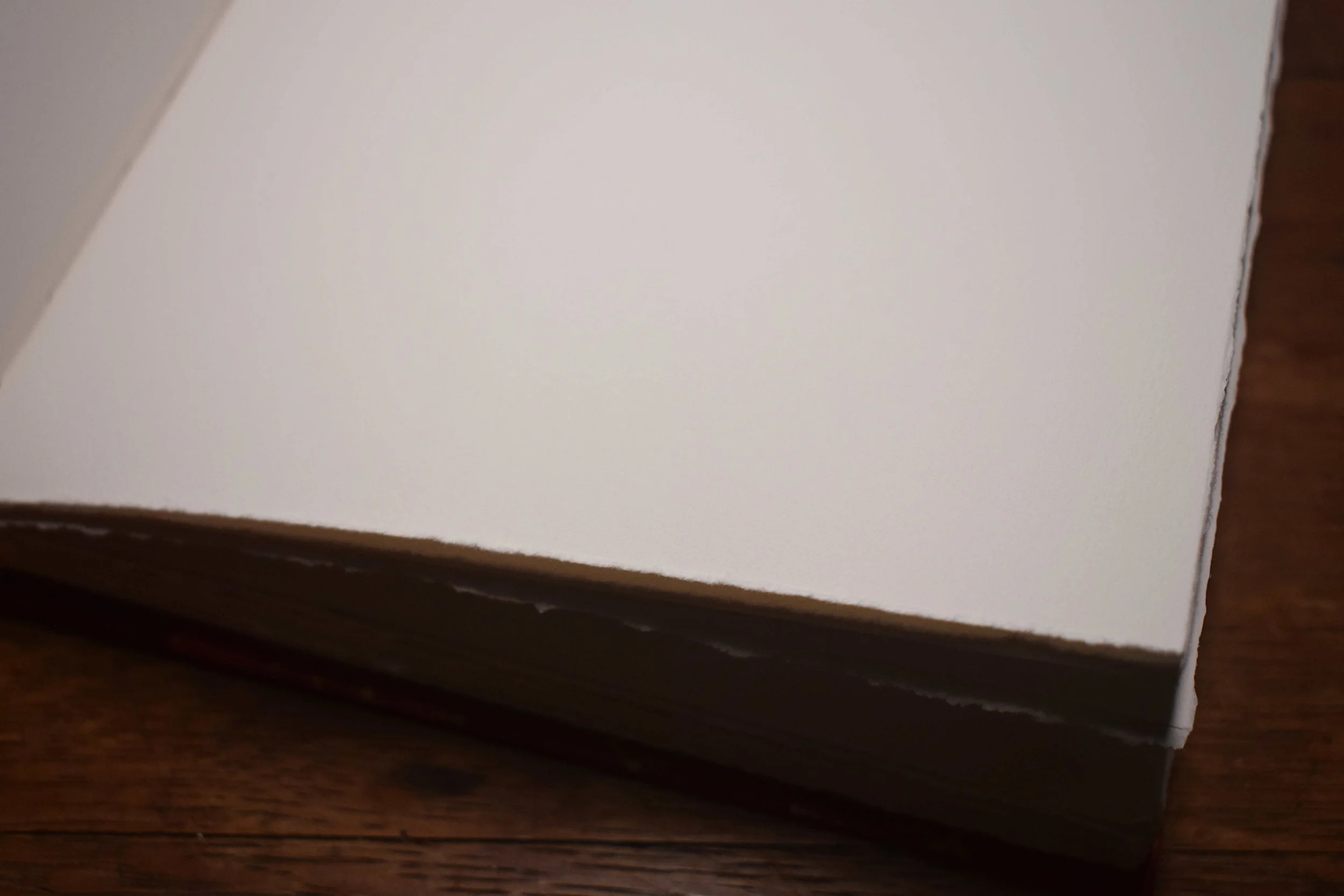 A4 Jemma Lewis Italian gold (7).JPG