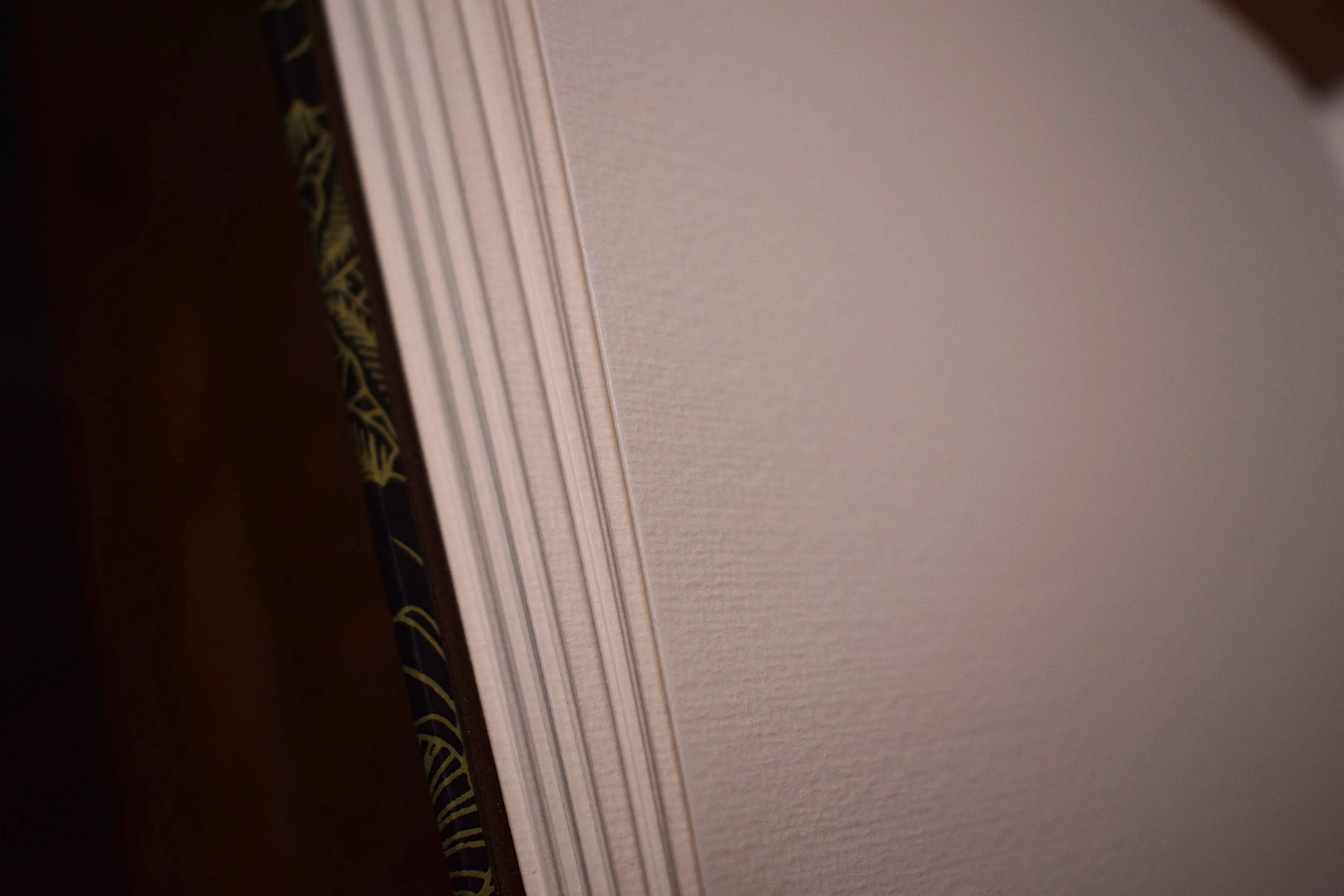 Rododendron A4 artists book (8).JPG