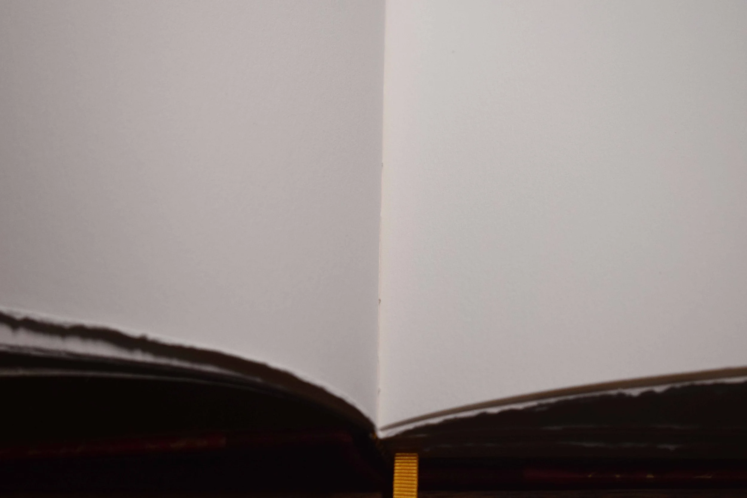 A4 Jemma Lewis Italian gold (6).JPG