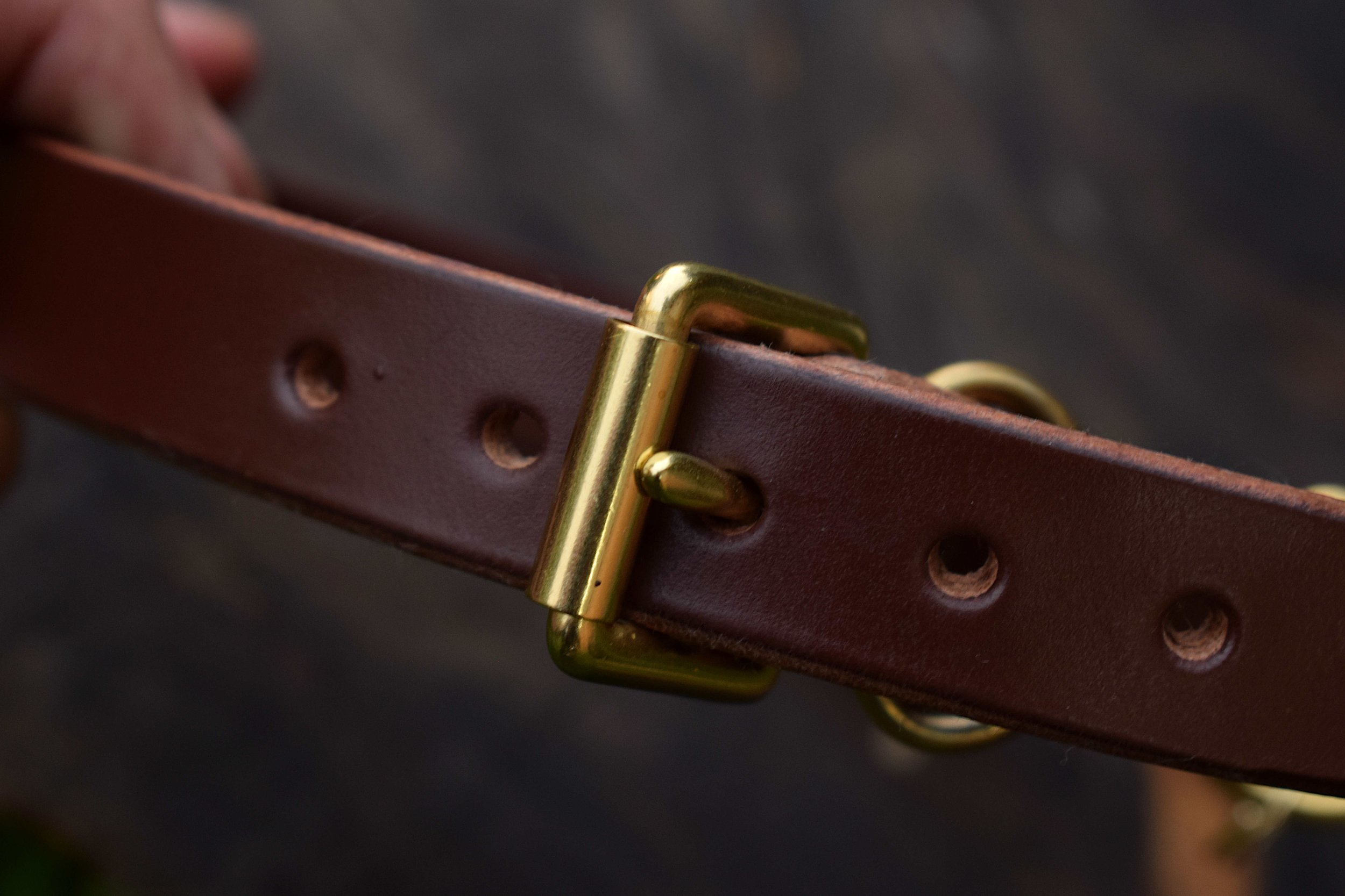 DOGCOLLAR19 (3).JPG