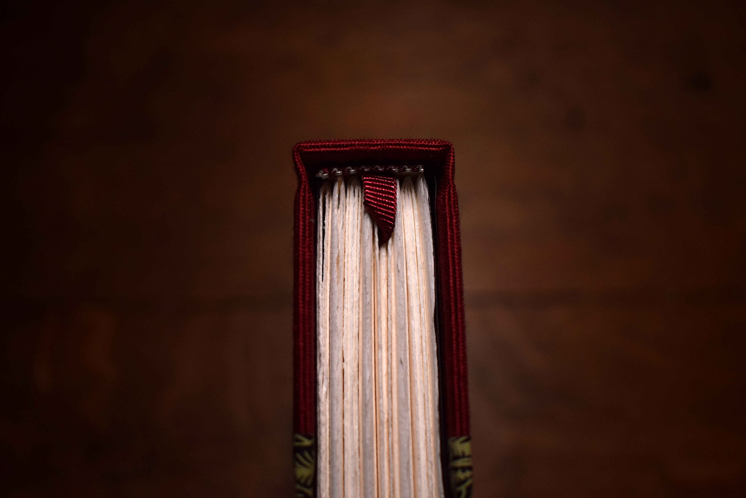 Rododendron A4 artists book (9).JPG