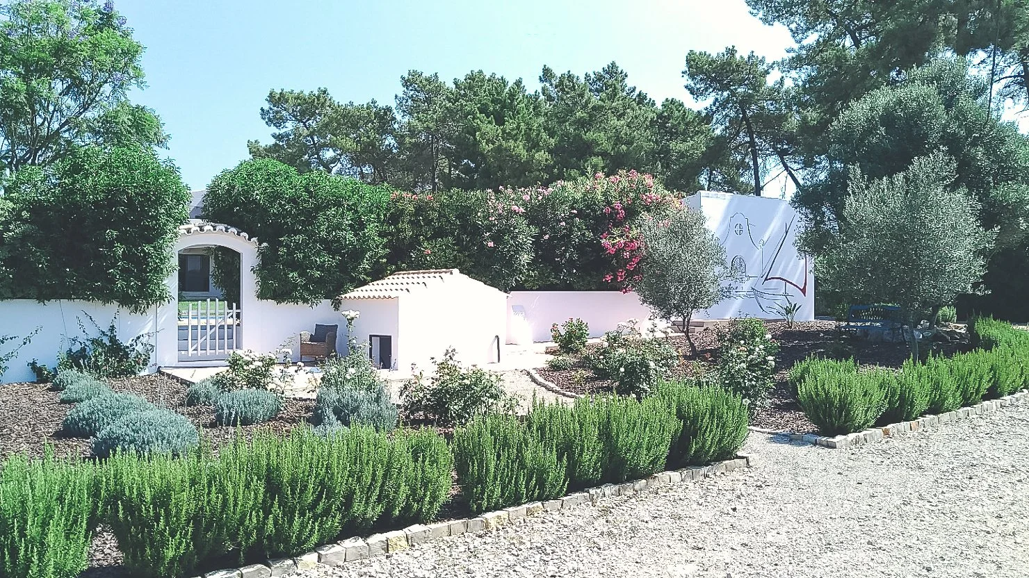 real etate photography 