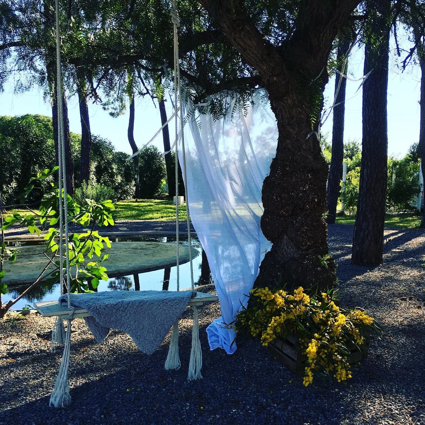 Real estate photography