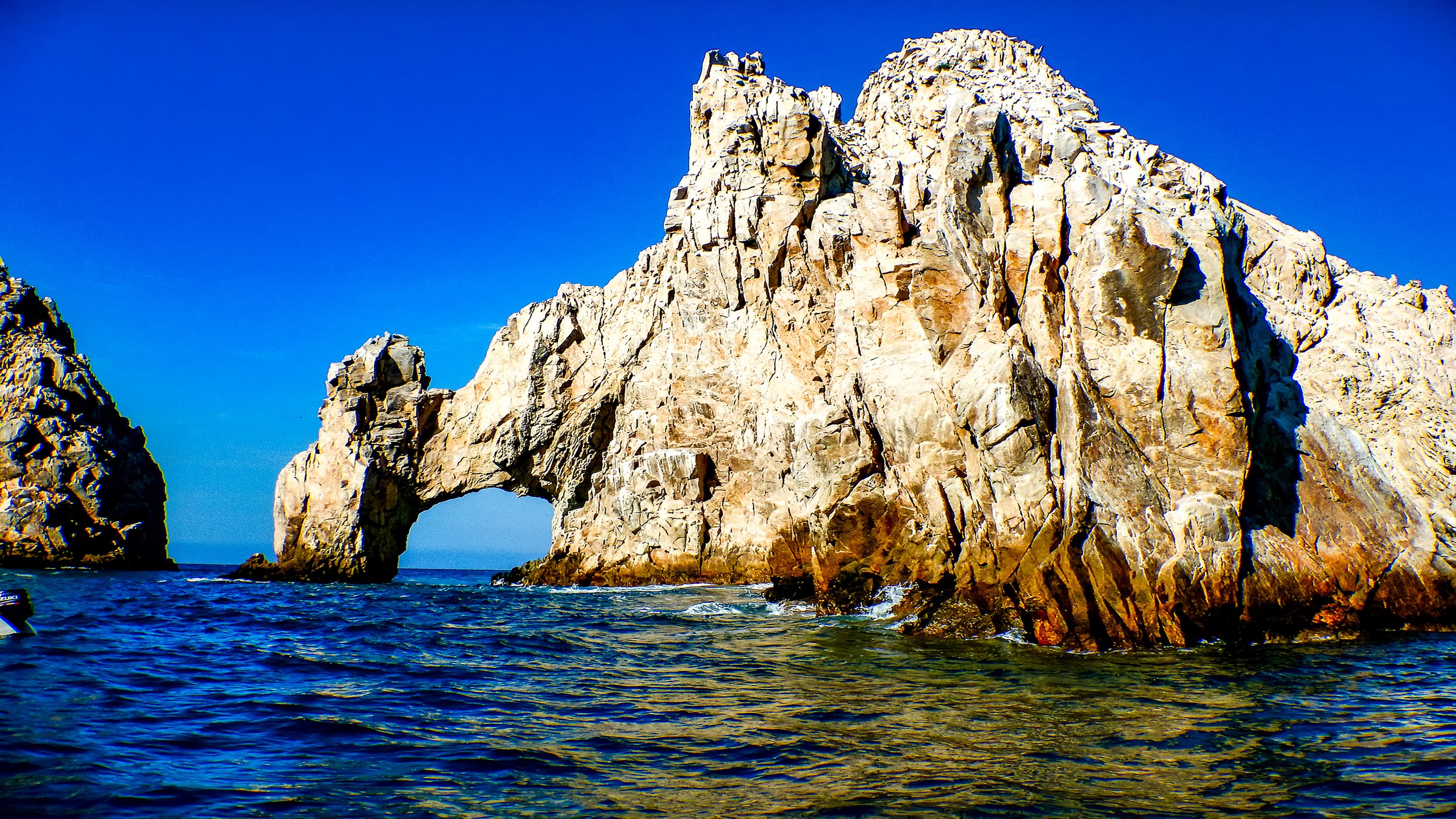 arch for squarespace.jpg