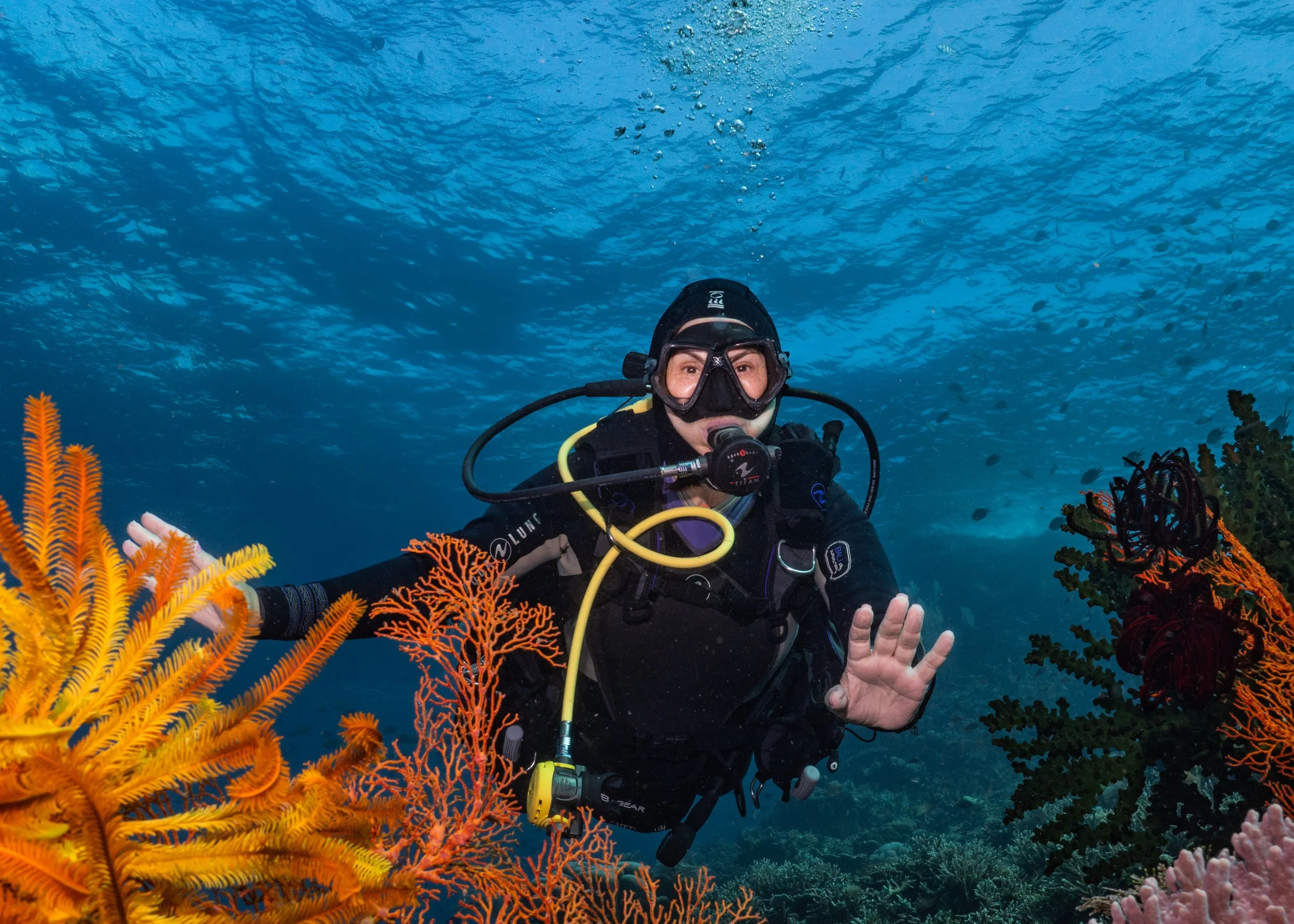 Scuba diver above colorful soft corals on a reef in Komodo National Park, Indonesia.