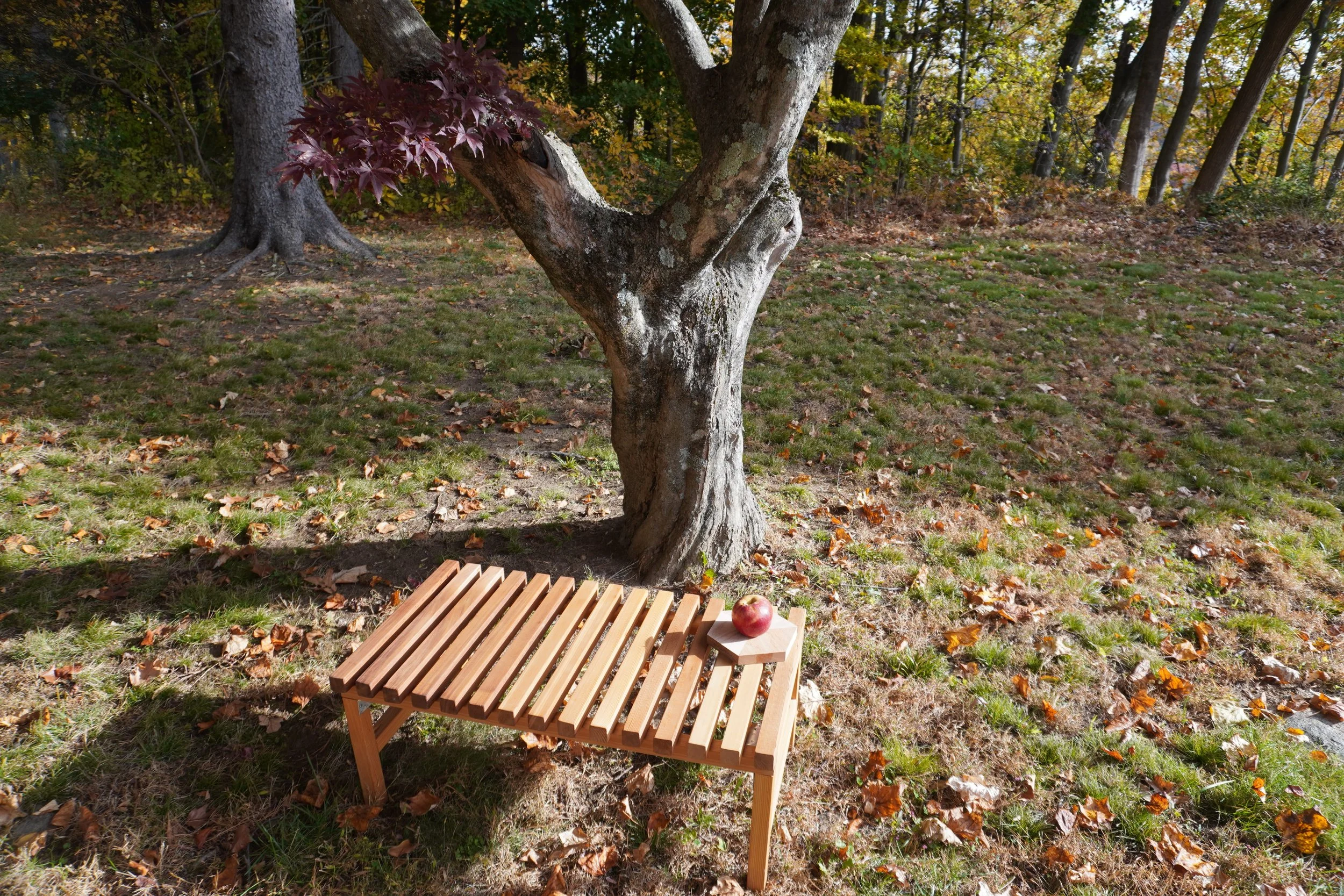 A Hinoki Style Bench Banner.jpg