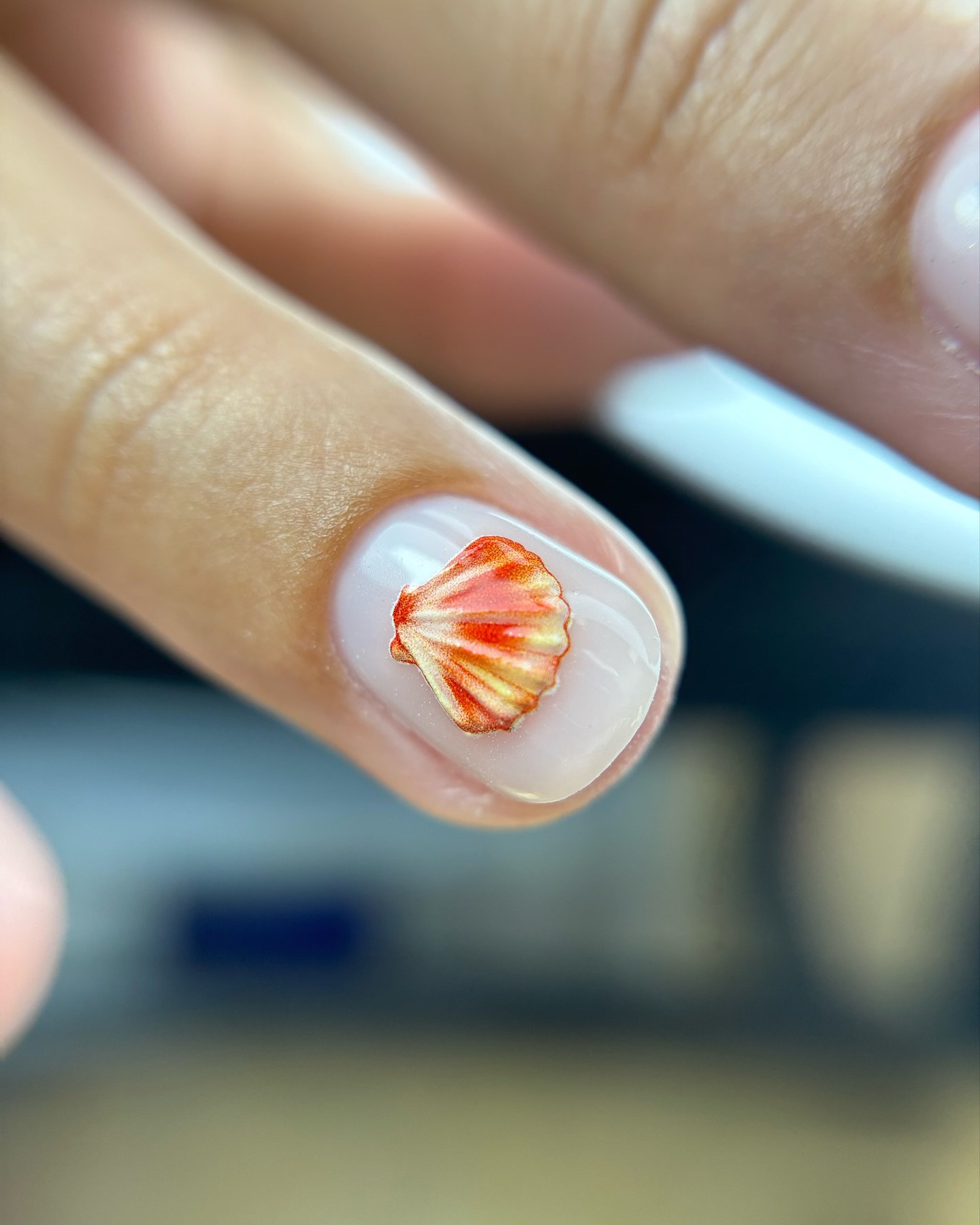 3D schelp, leuk nu het nog lekker weer is! 🐚