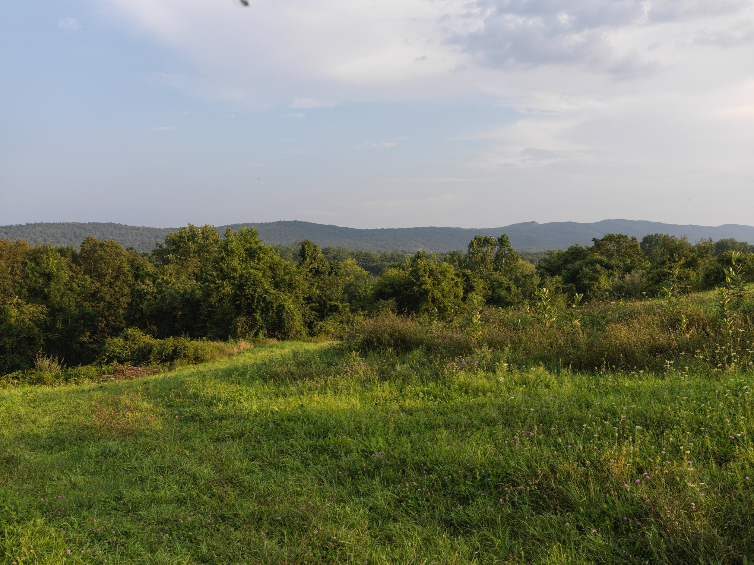 Copy of AmaliaGraziani_HighFalls_0390.jpg