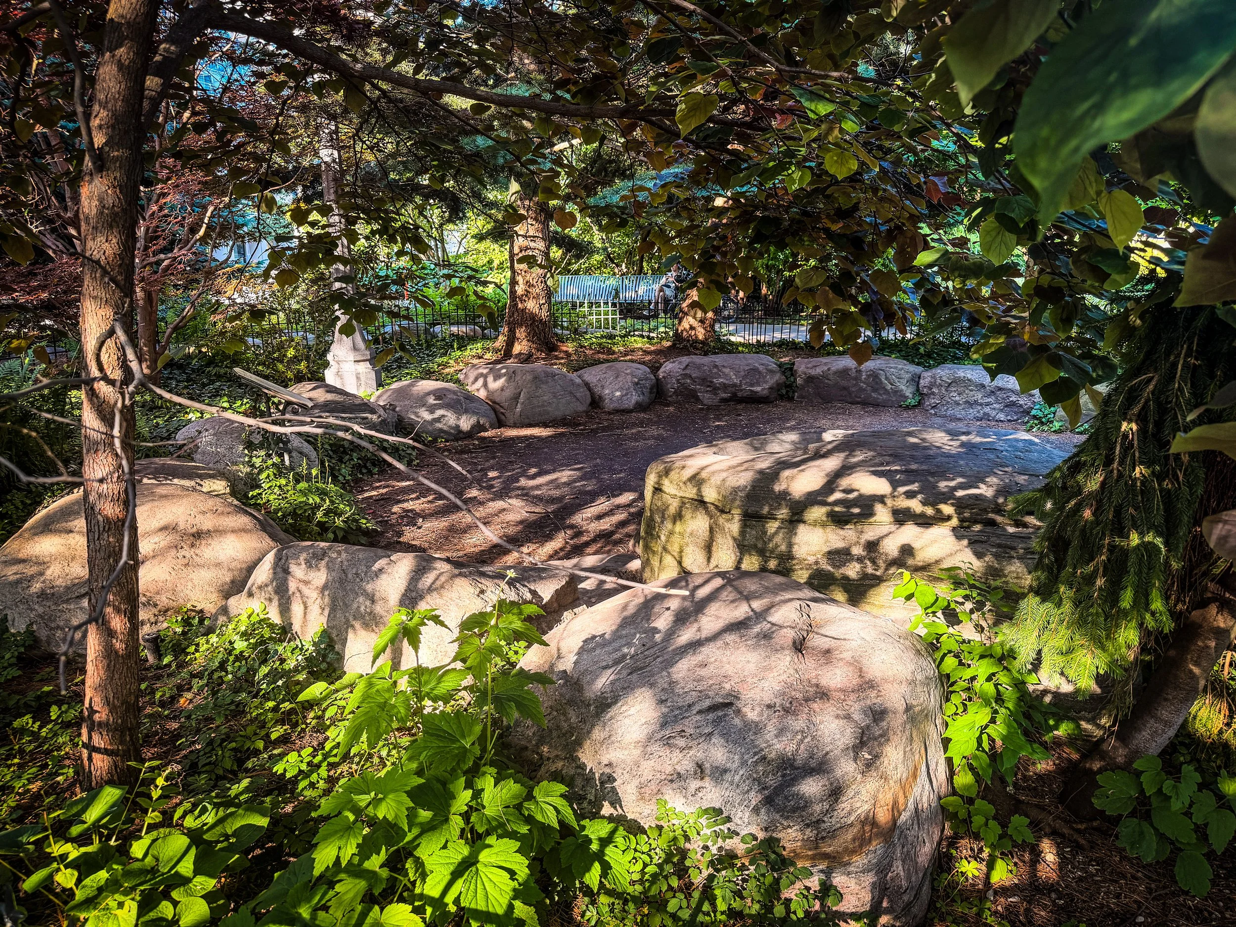IMG_8162-Edit-Edit.jpg