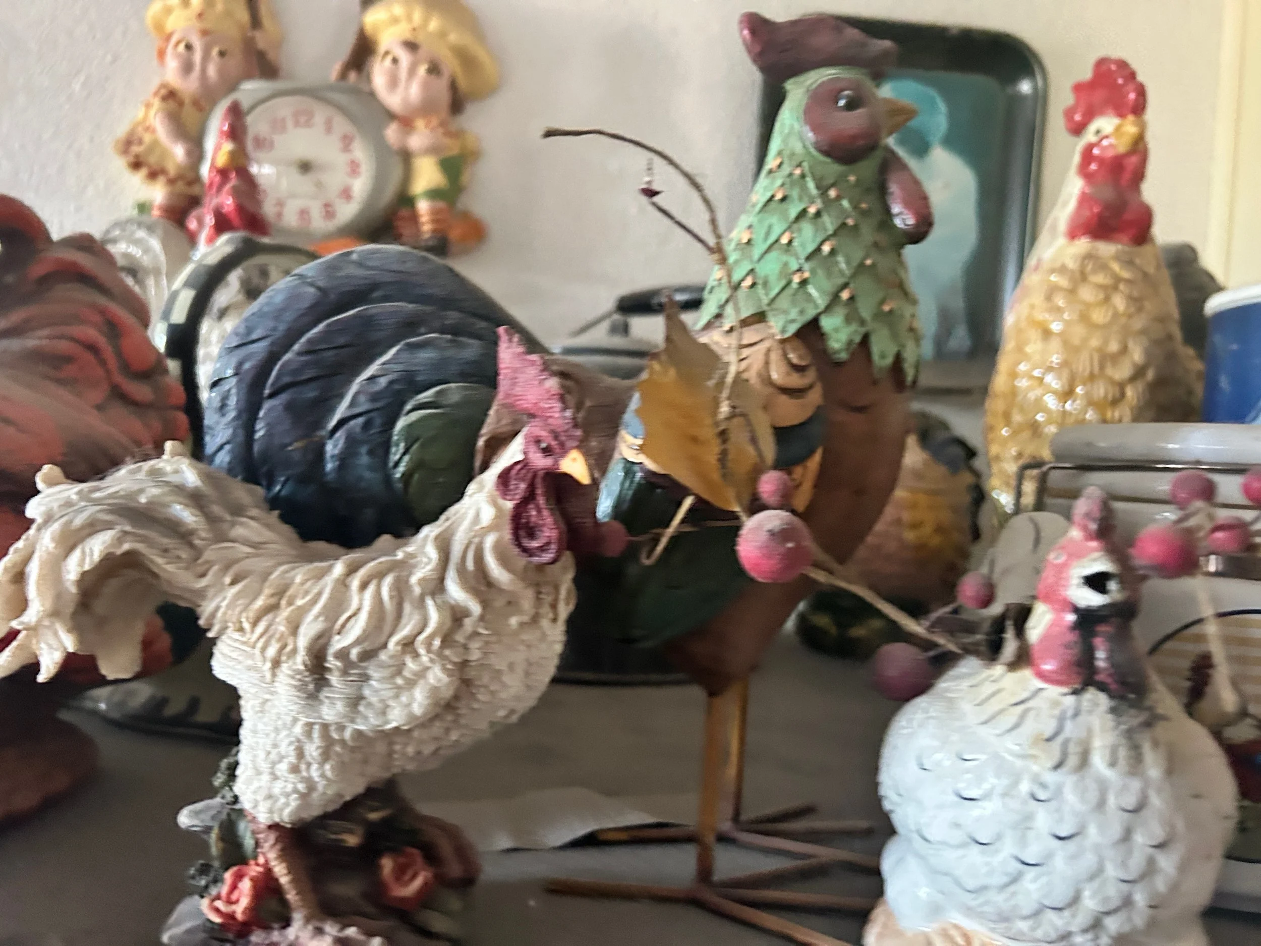 Rooster #5