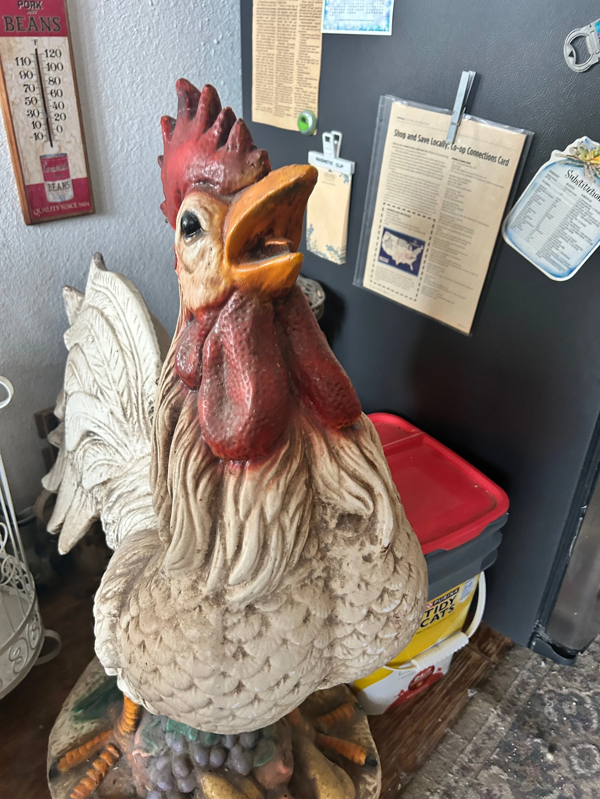 Rooster #2