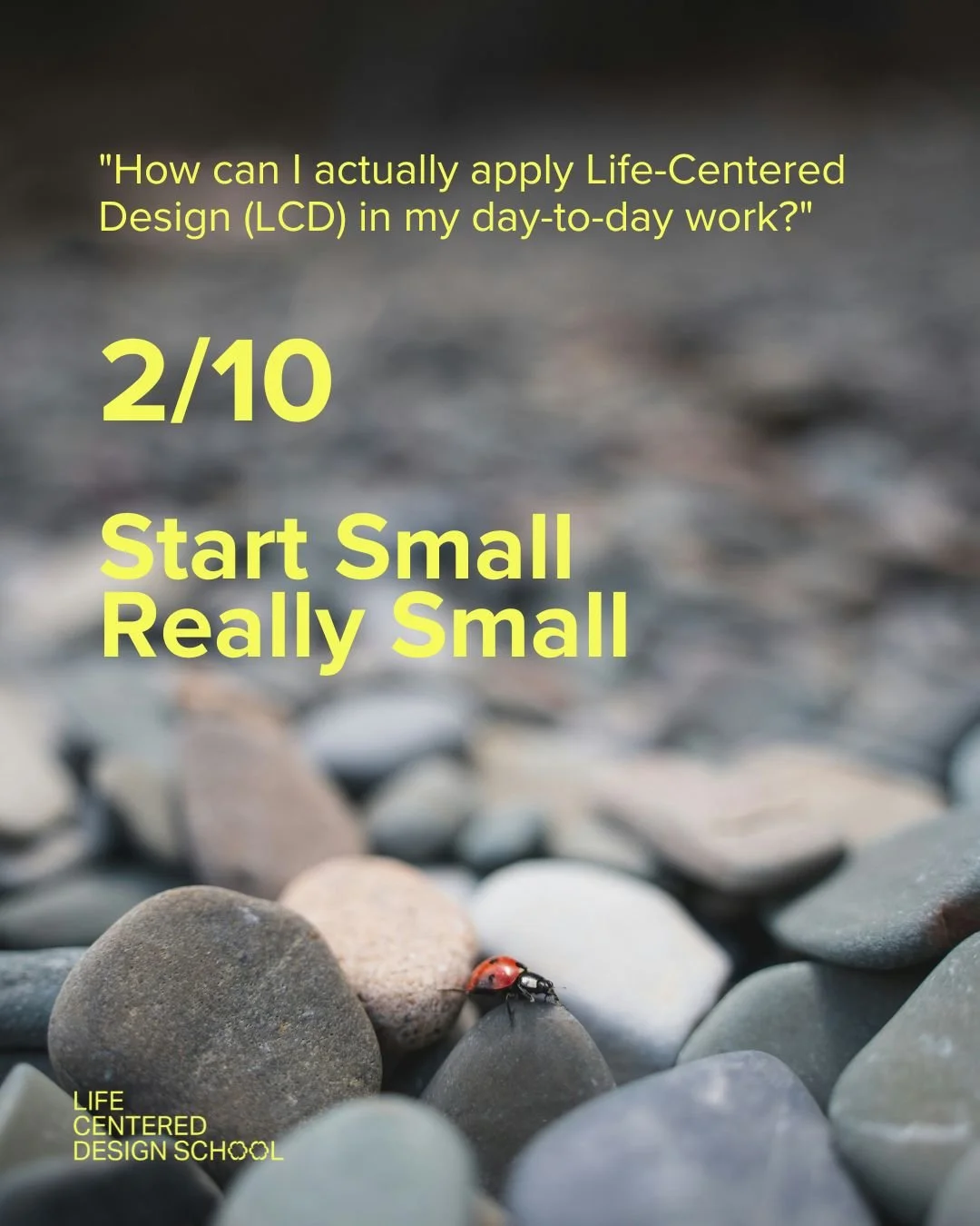 Life-Centered-Design-School-Apply-LCD-to-work-Start-Small.jpg