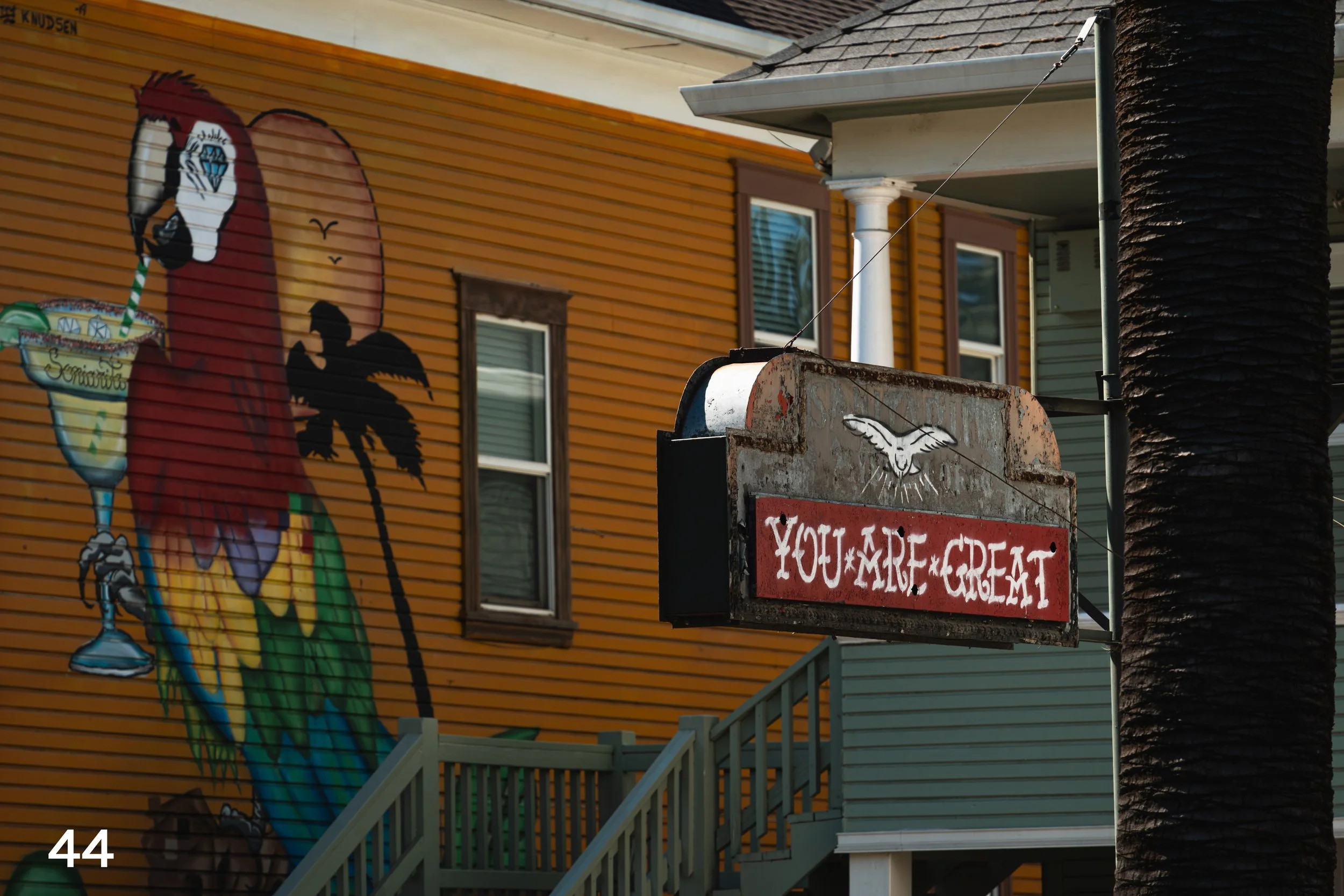 web_Midtown_2025-44.jpg