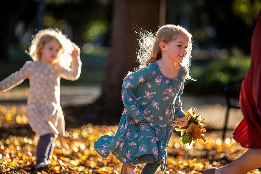 jenkins 23 web mckinley.jpg