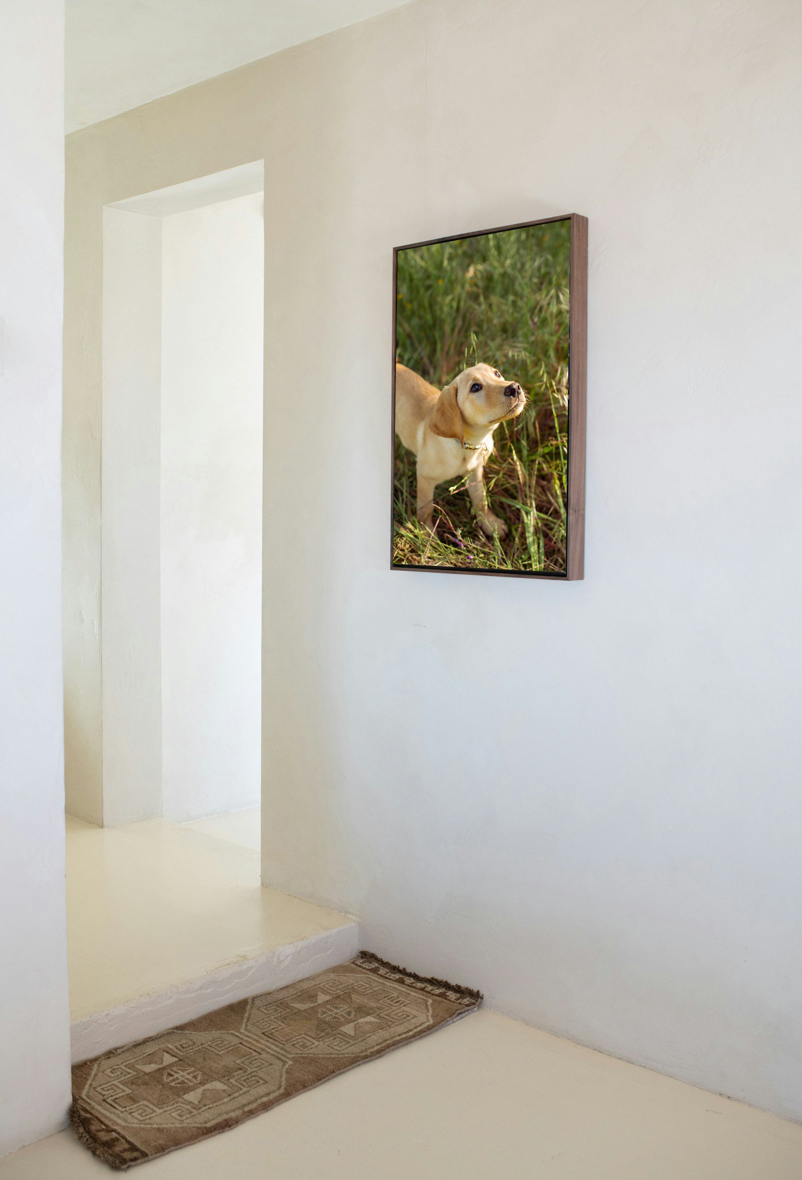 Walnut Float Frame Premium Canvas_pullback.jpg