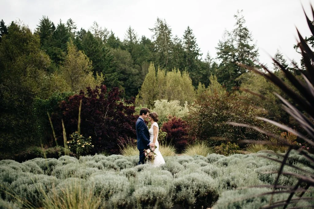 intimate wedding at VRBO in Sonoma