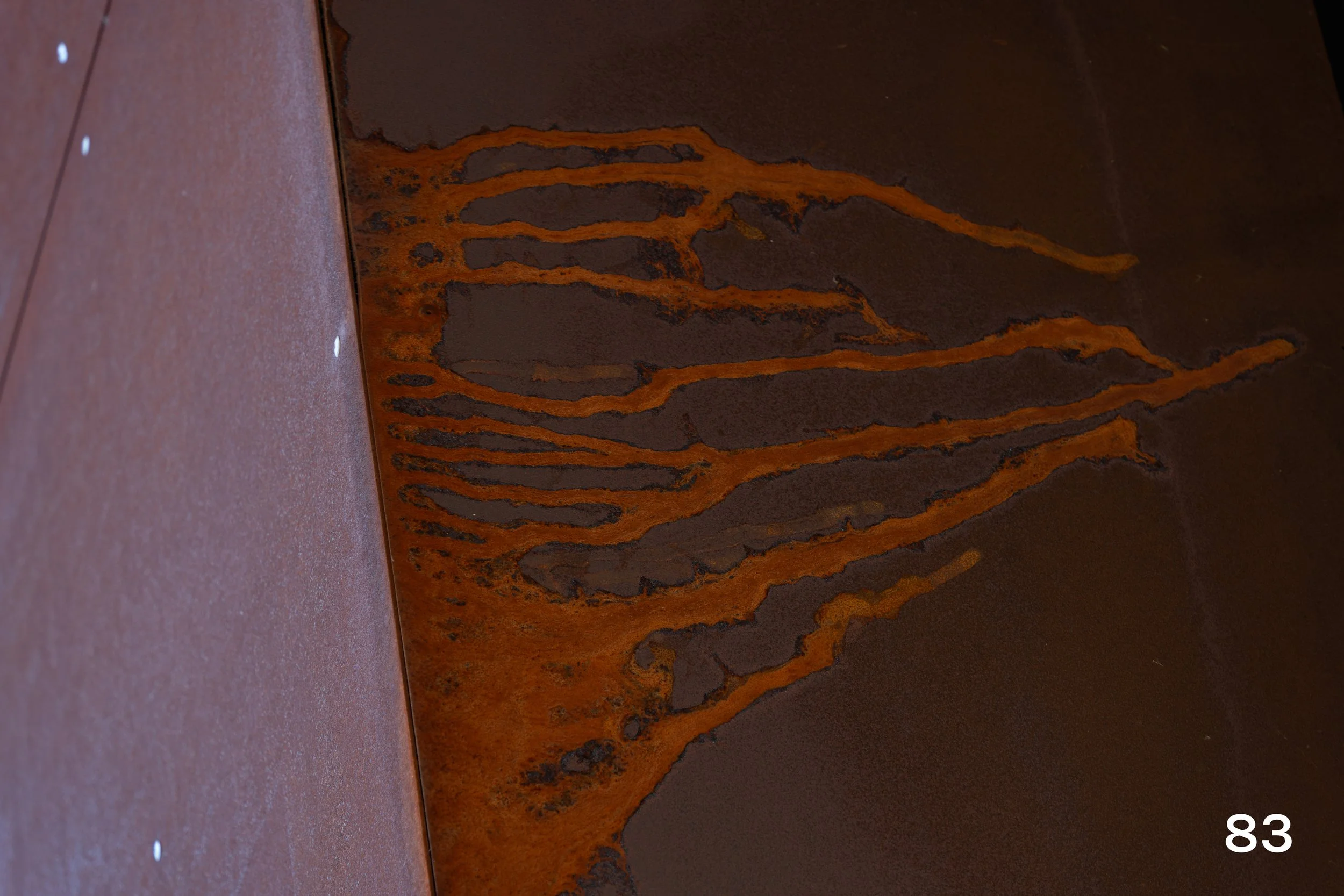 web_Midtown_2025-83.jpg